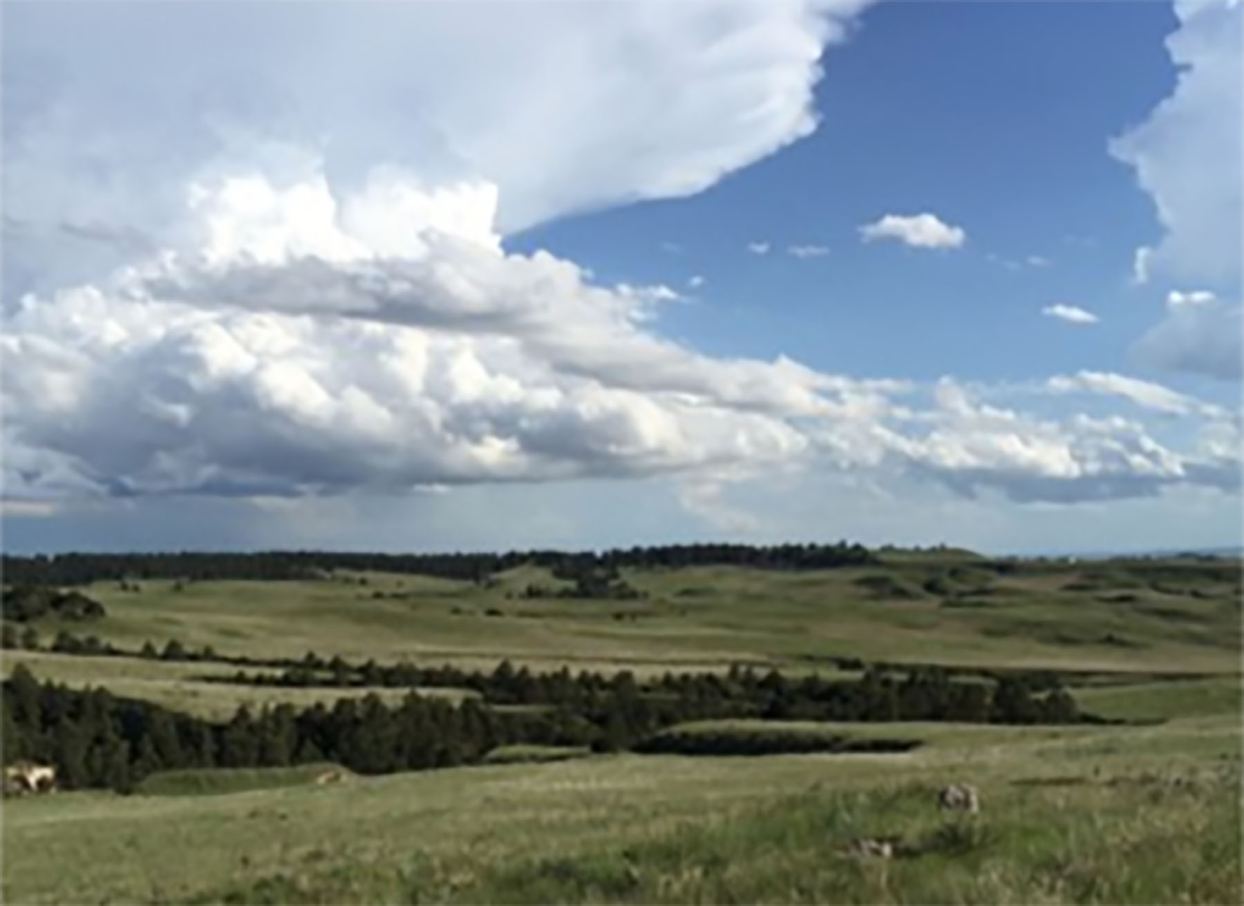 Pine Ridge Ranch property picture 2 of 46