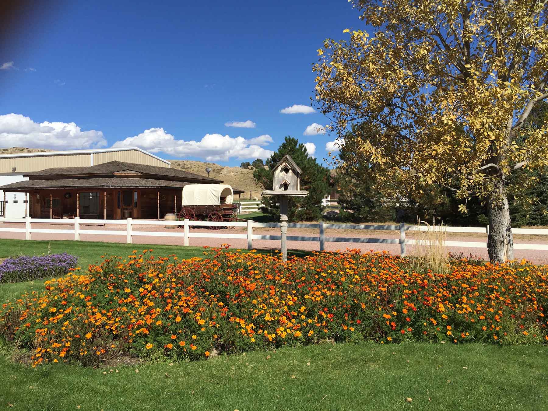 Pine Ridge Ranch Past Auction Wyoming Hall and Hall
