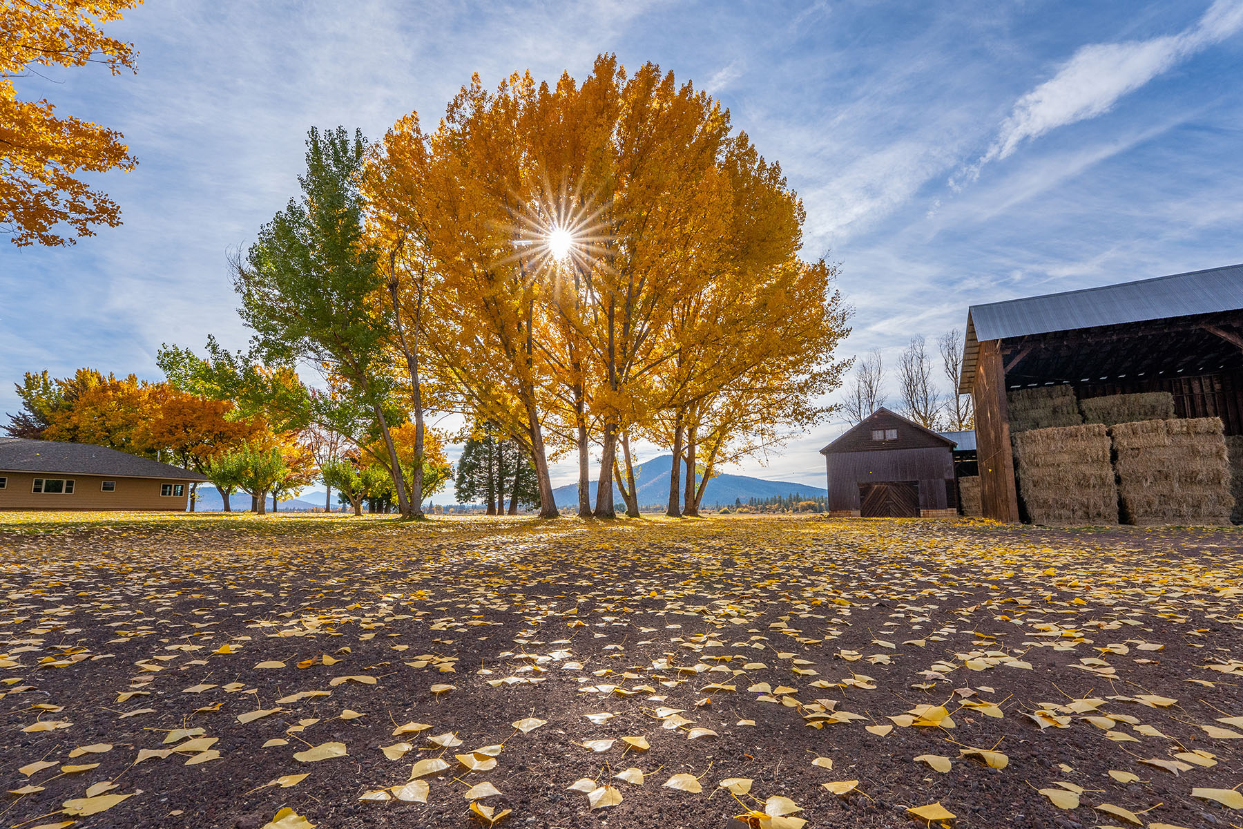 Spring Creek Ranch property picture 66 of 88