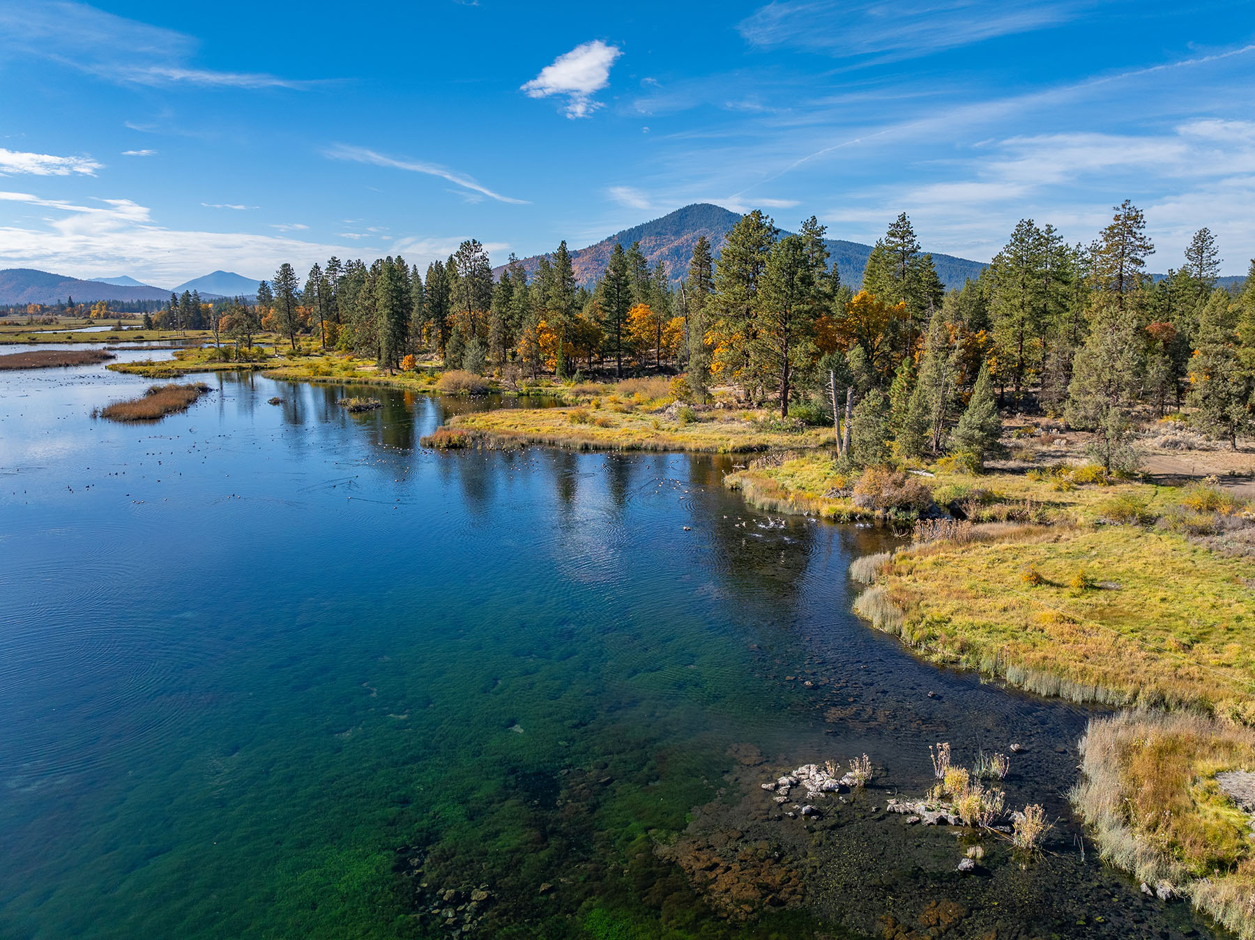 Spring Creek Ranch property picture 78 of 88