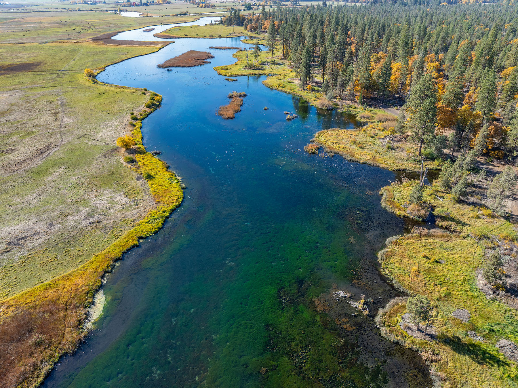 Spring Creek Ranch property picture 74 of 88