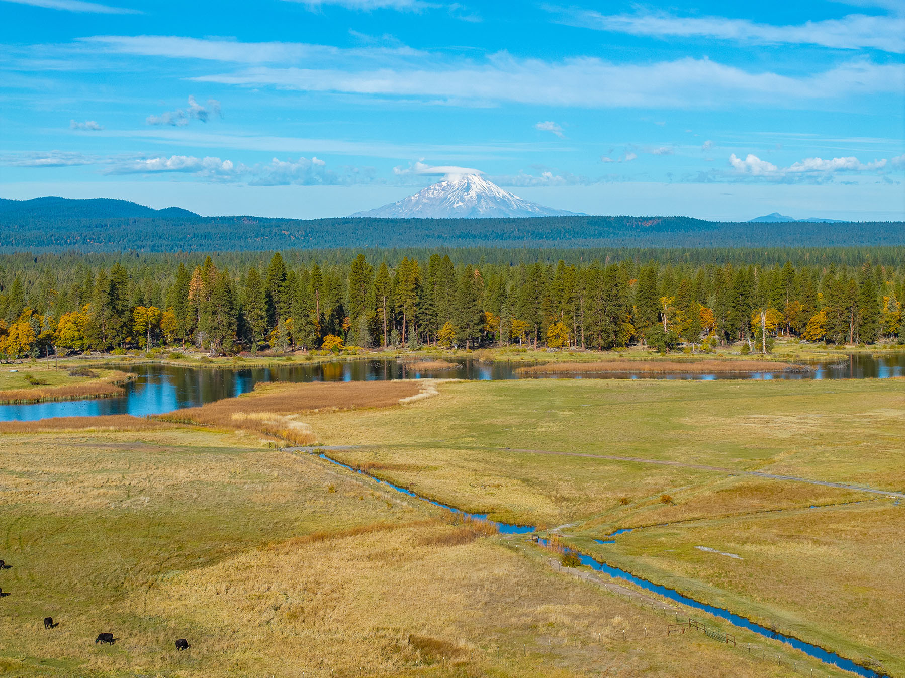 Spring Creek Ranch property picture 12 of 88
