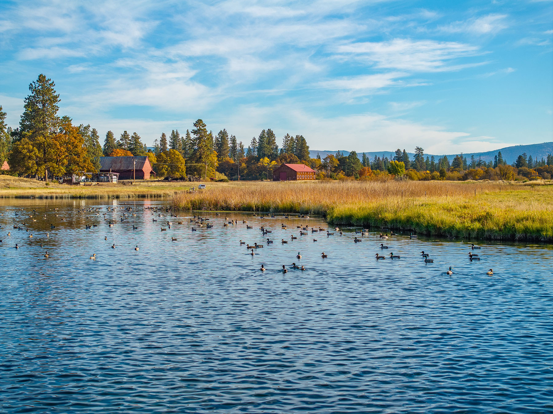 Spring Creek Ranch property picture 58 of 88