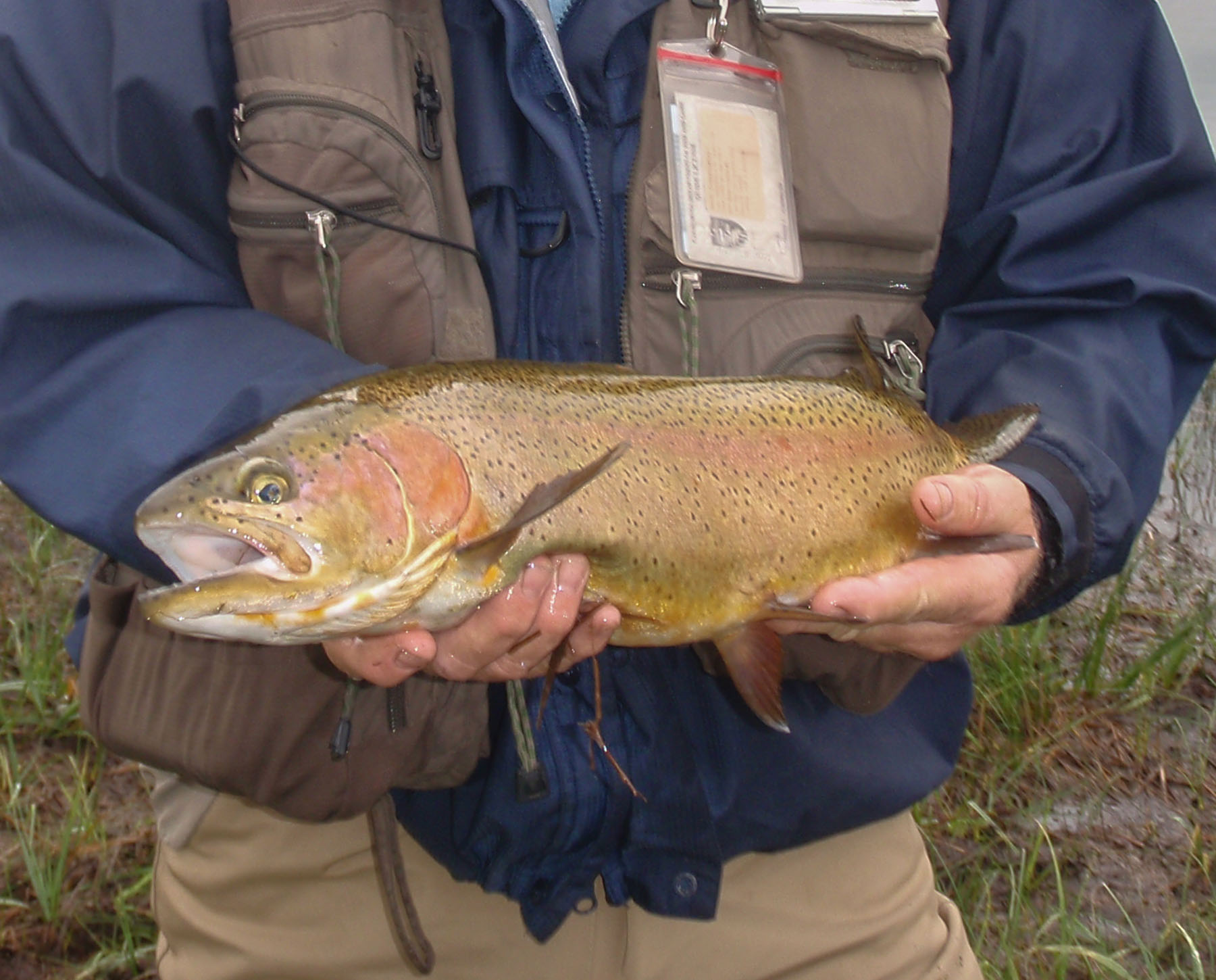 Spring Creek Ranch property picture 80 of 88