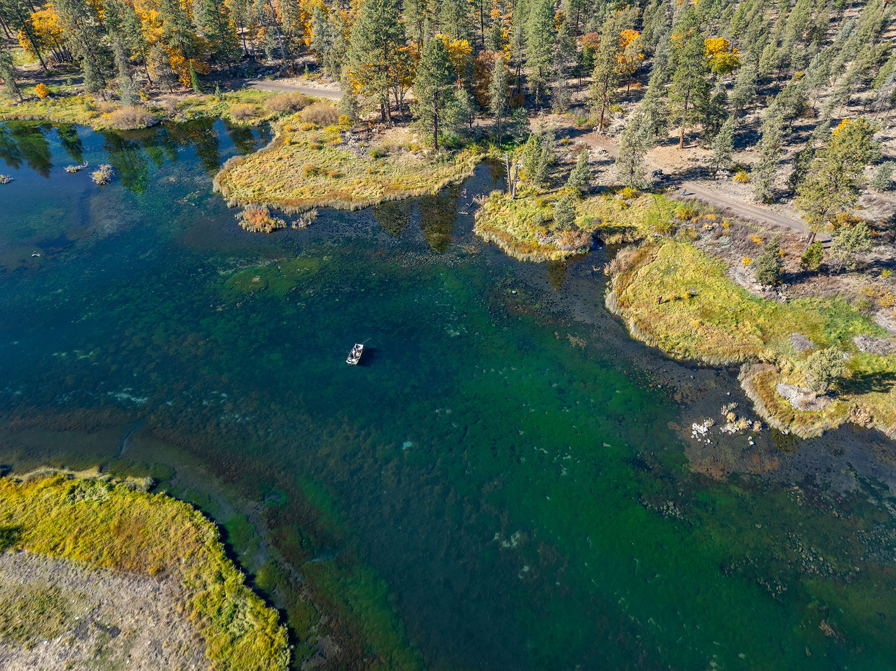 Spring Creek Ranch property picture 75 of 88