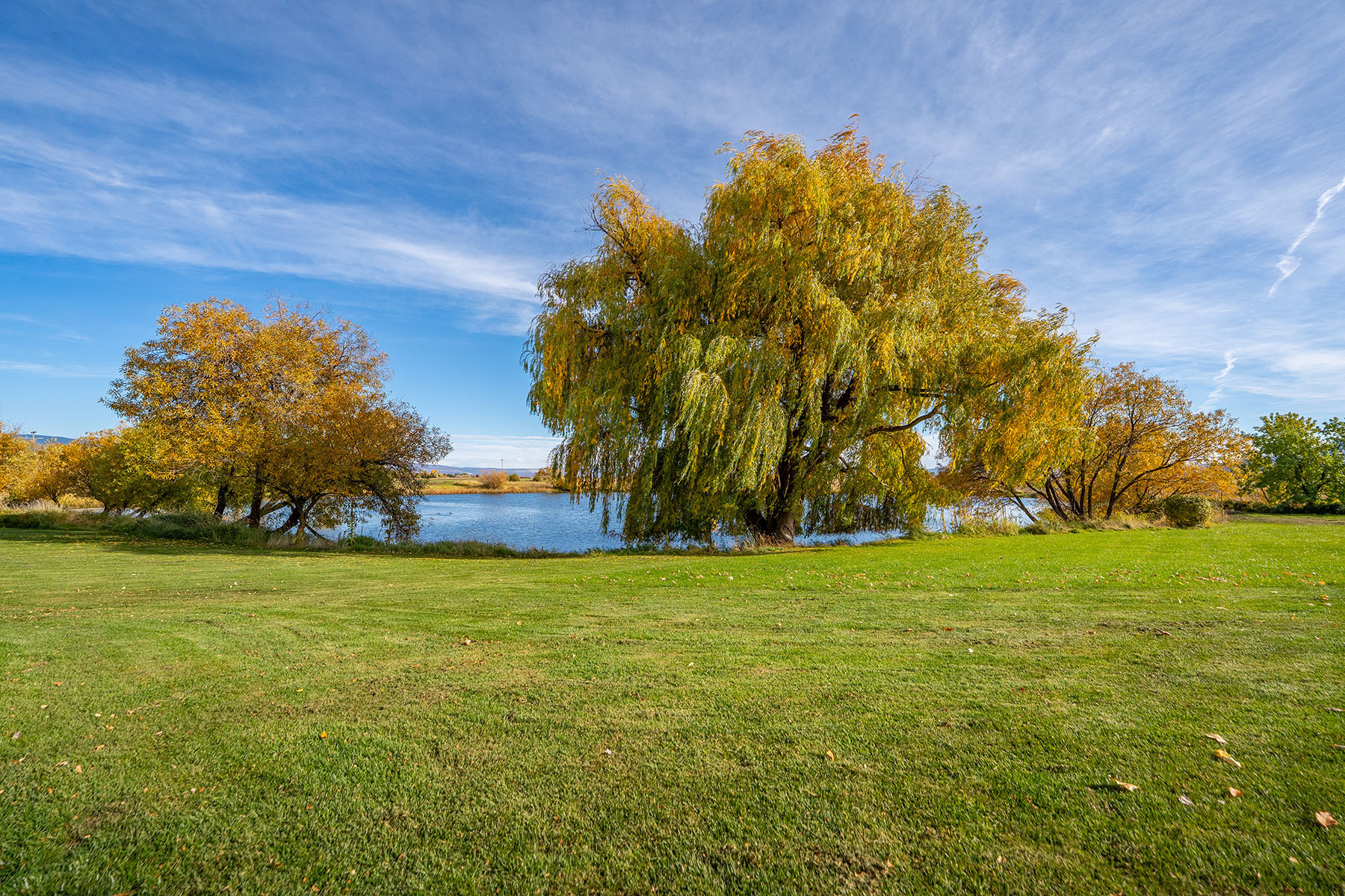 Spring Creek Ranch property picture 84 of 88