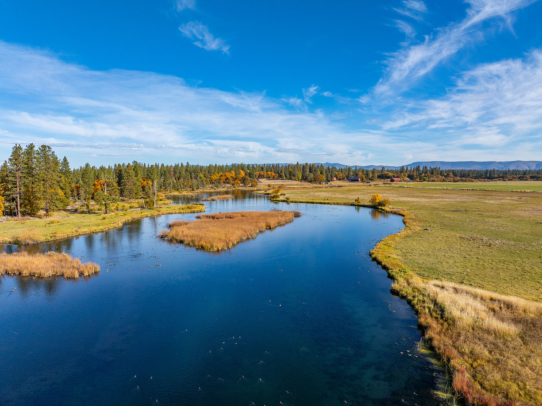 Spring Creek Ranch property picture 10 of 88