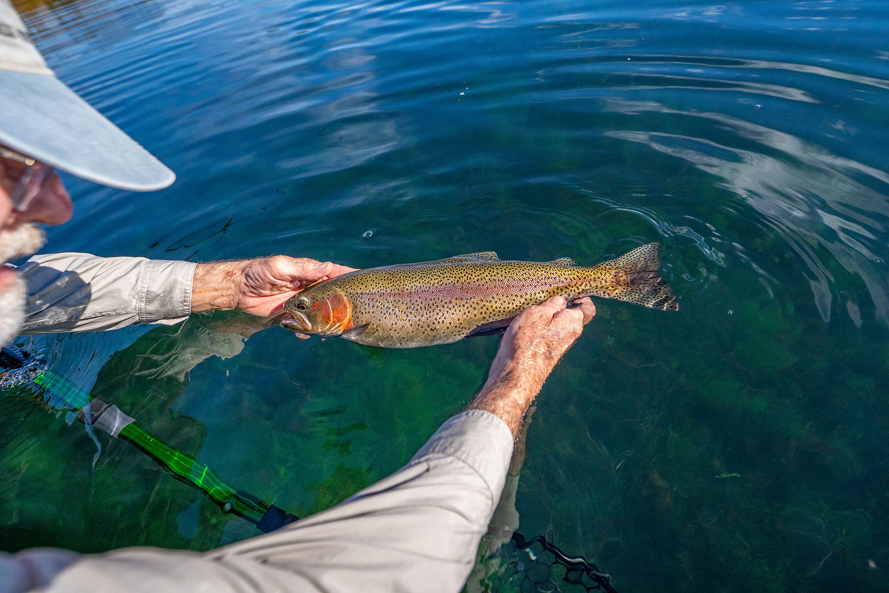 Spring Creek Ranch property picture 7 of 88