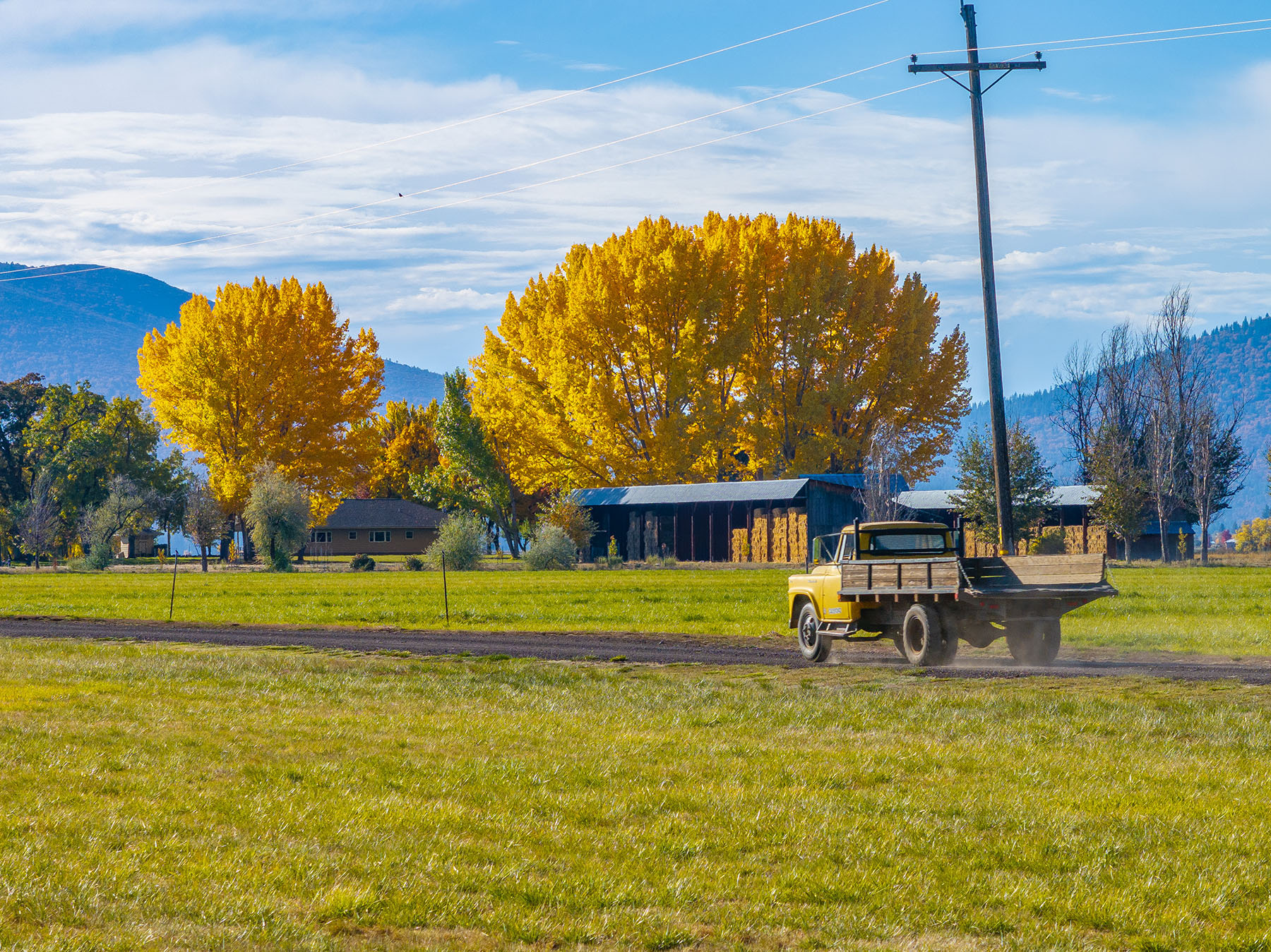 Spring Creek Ranch property picture 71 of 88