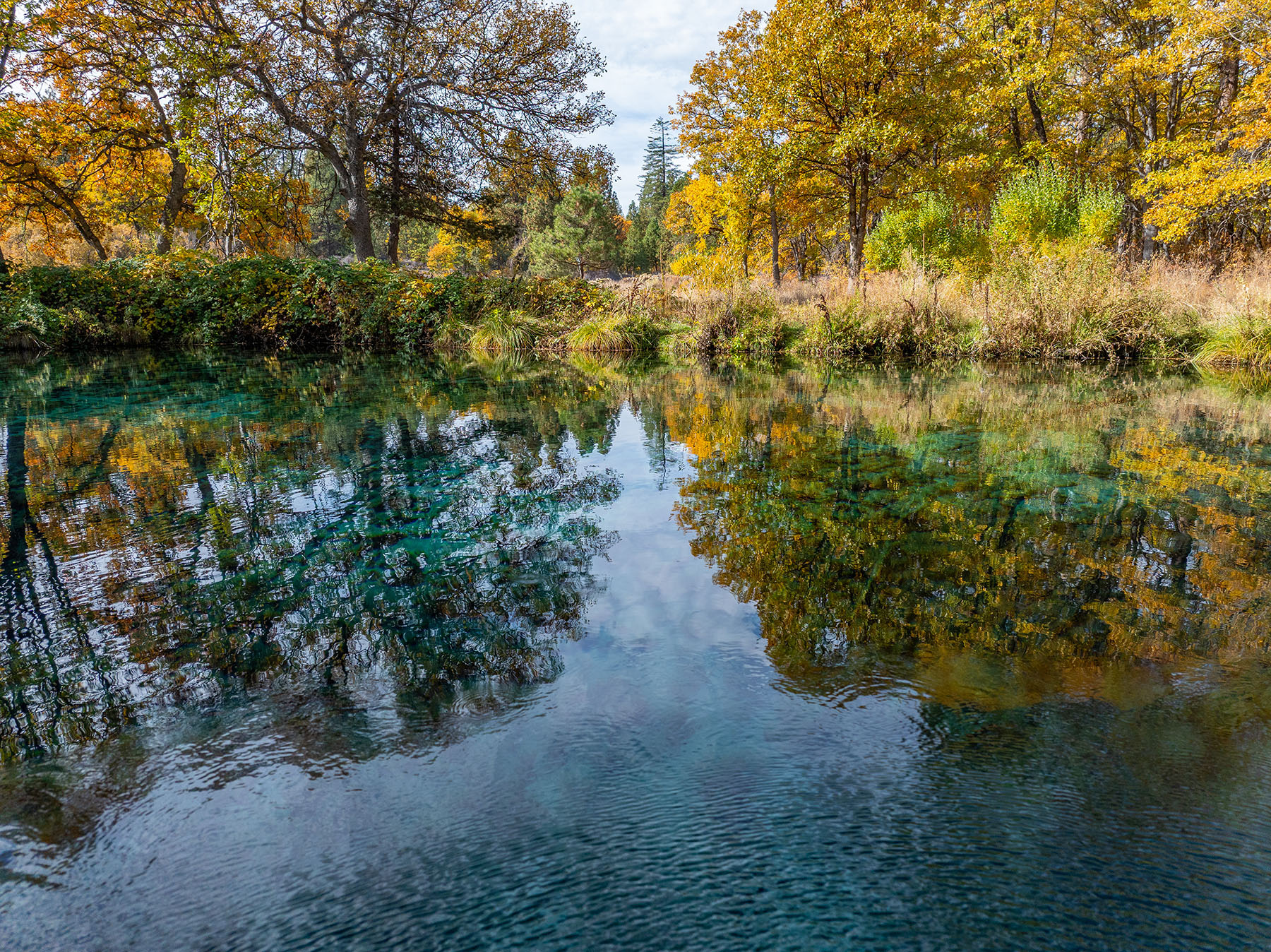 Spring Creek Ranch property picture 86 of 88