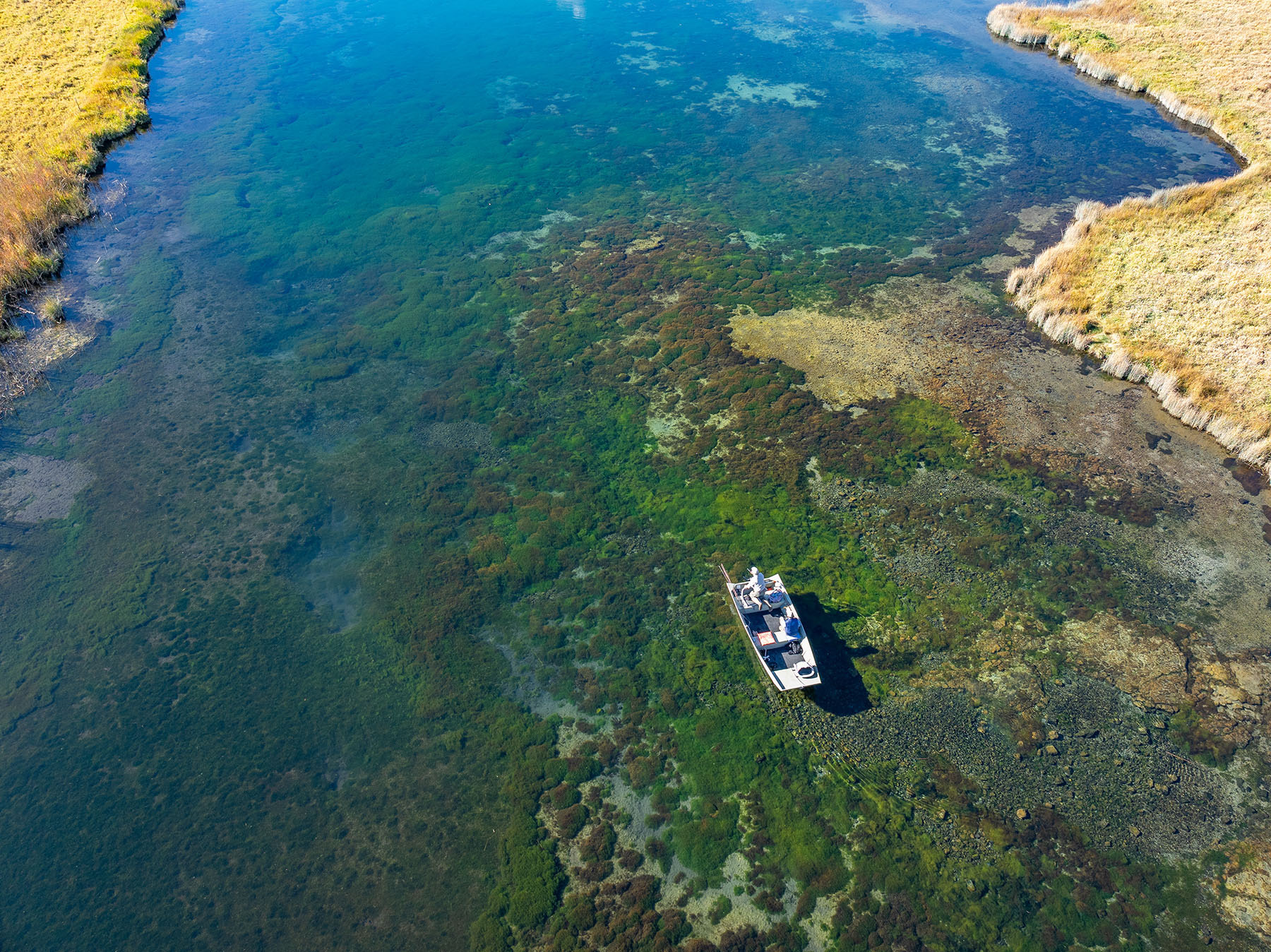 Spring Creek Ranch property picture 6 of 88