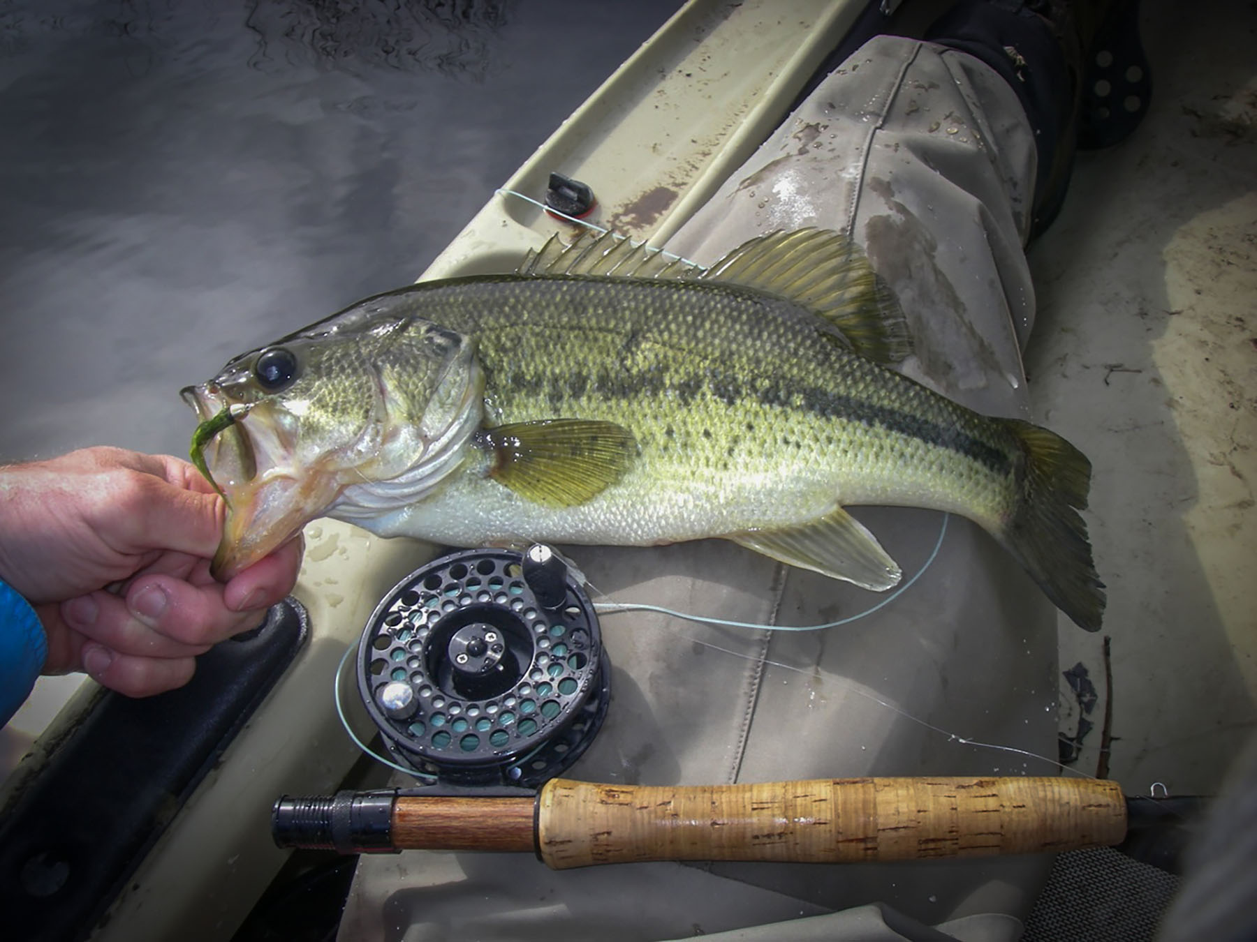 Spring Creek Ranch property picture 82 of 88