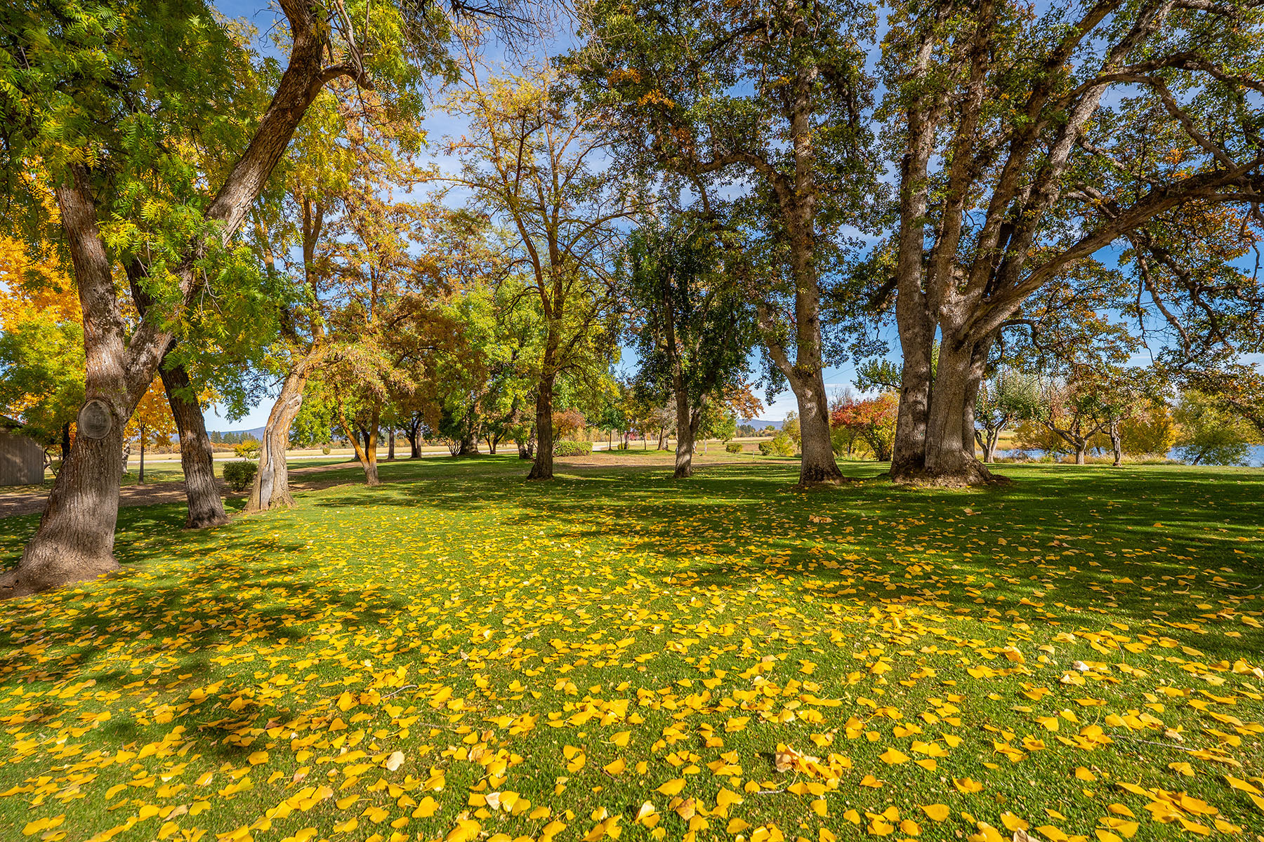 Spring Creek Ranch property picture 35 of 88