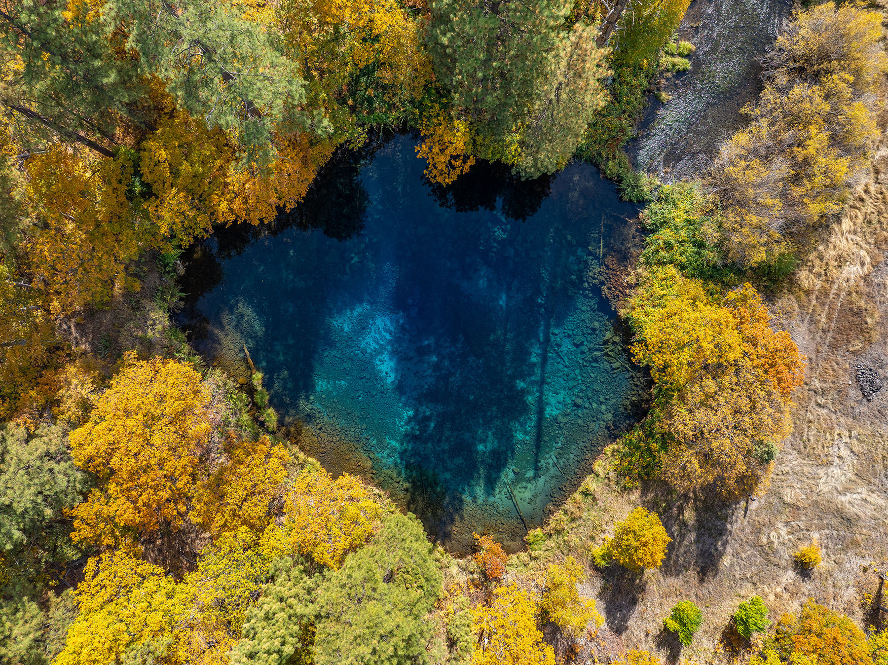 Spring Creek Ranch property picture 72 of 88