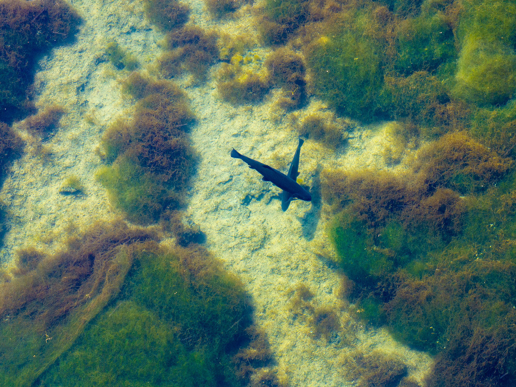 Spring Creek Ranch property picture 57 of 88