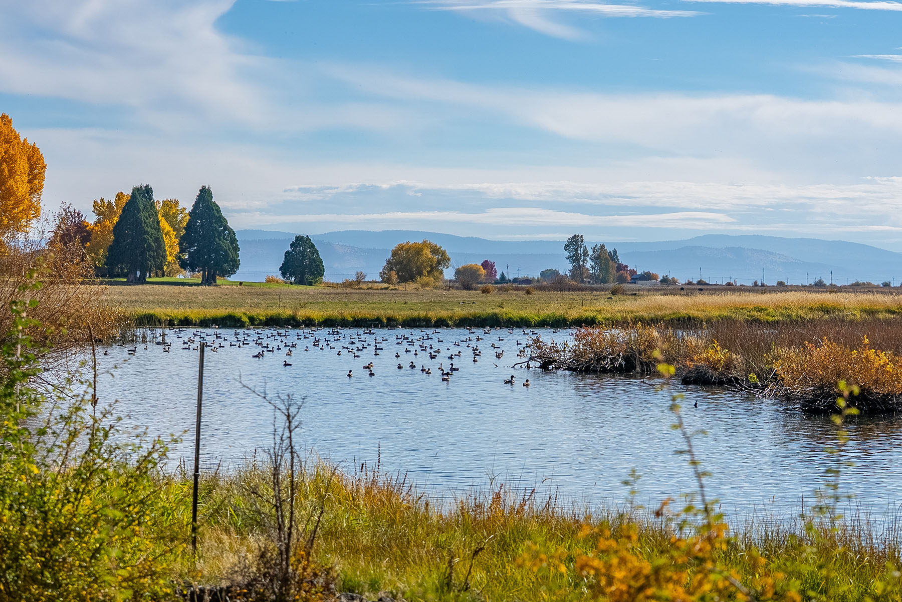 Spring Creek Ranch property picture 62 of 88
