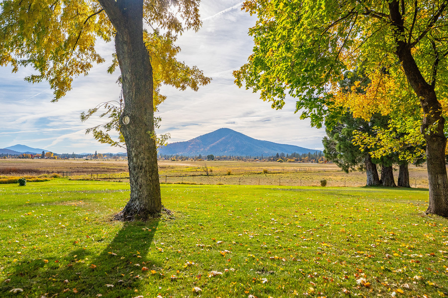 Spring Creek Ranch property picture 83 of 88