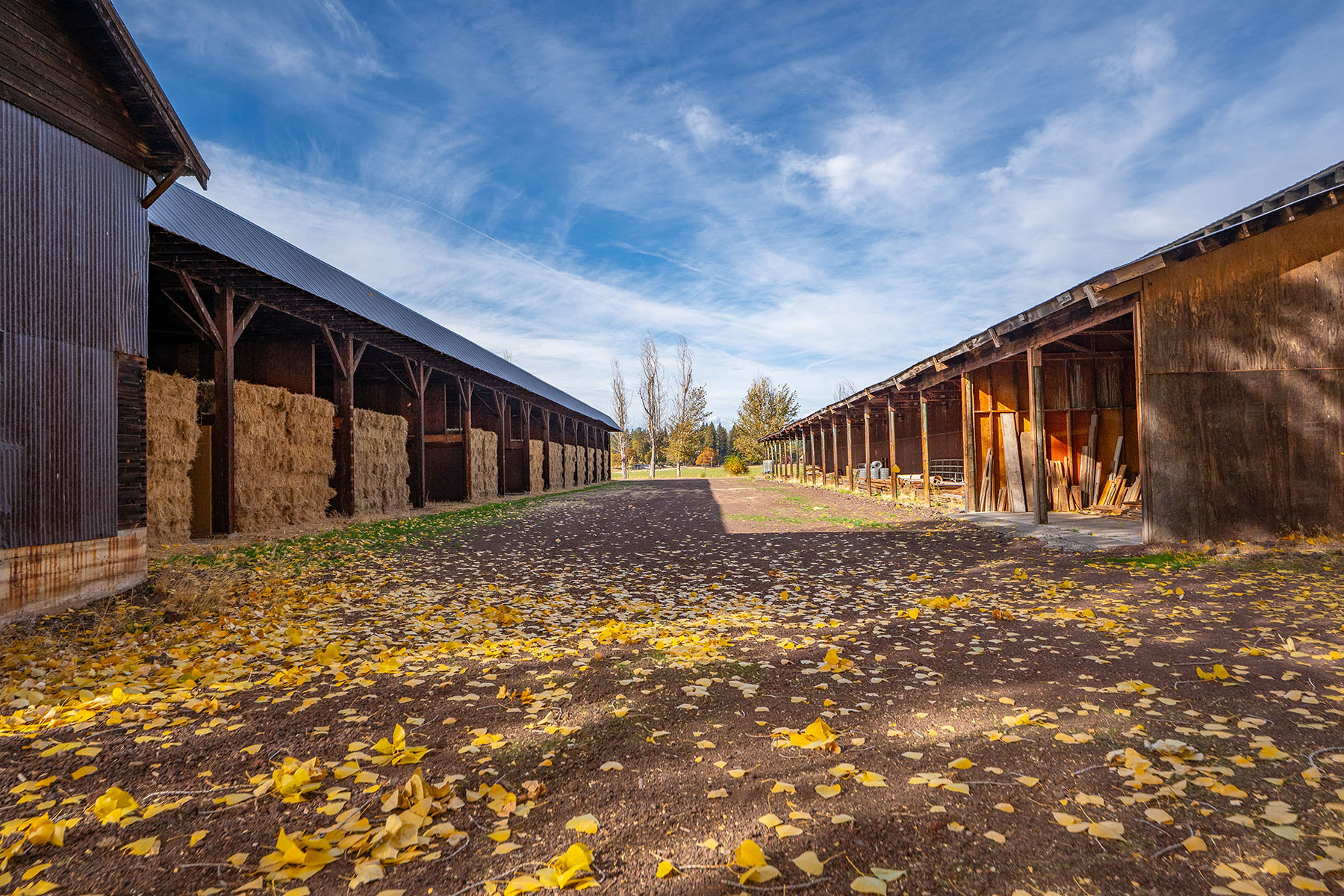 Spring Creek Ranch property picture 67 of 88