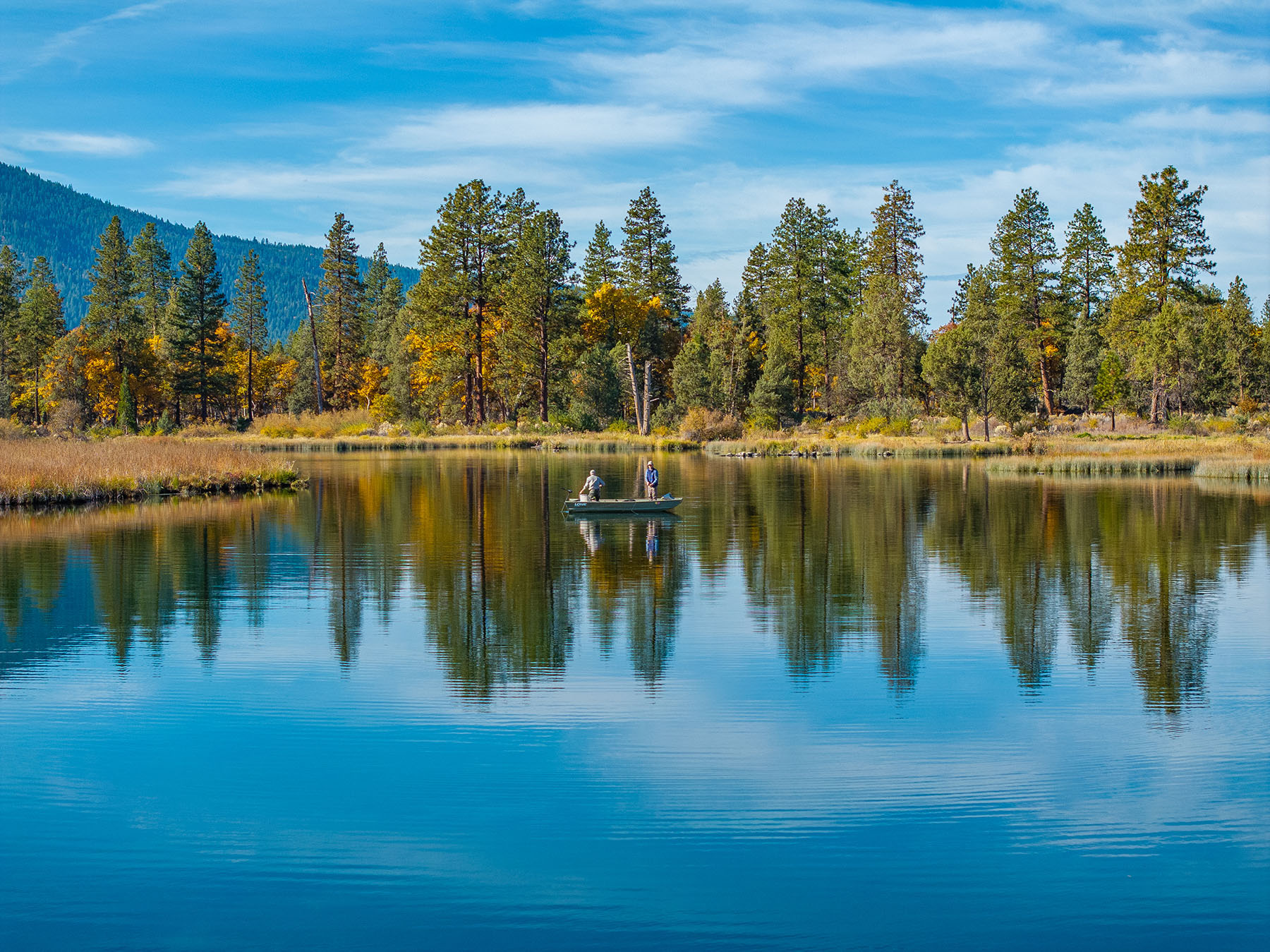 Spring Creek Ranch property picture 79 of 88