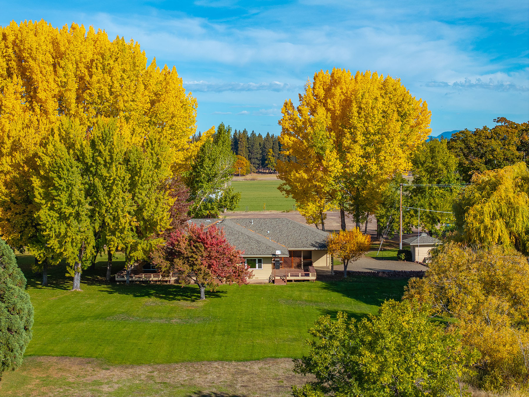 Spring Creek Ranch property picture 33 of 88