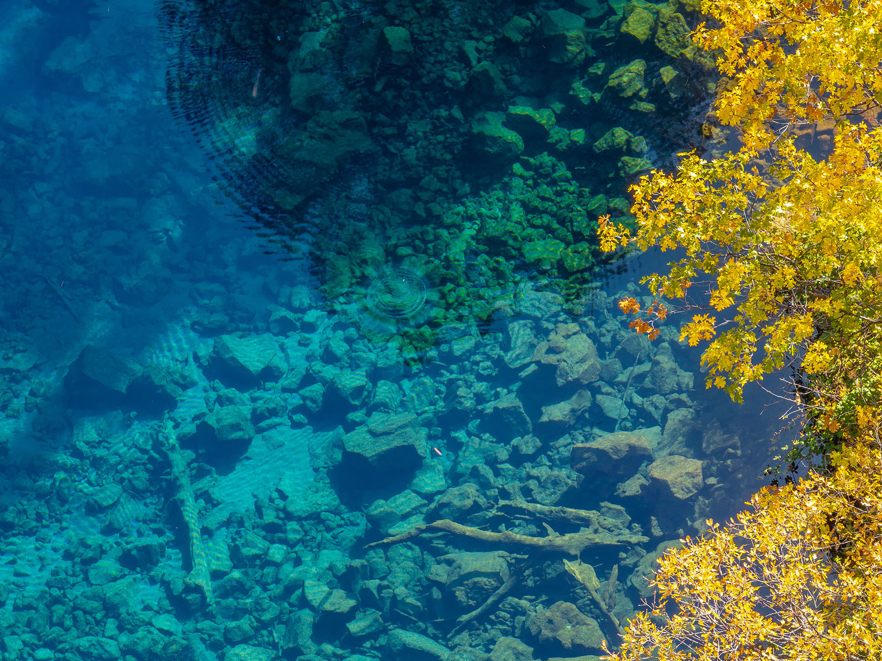 Spring Creek Ranch property picture 73 of 88