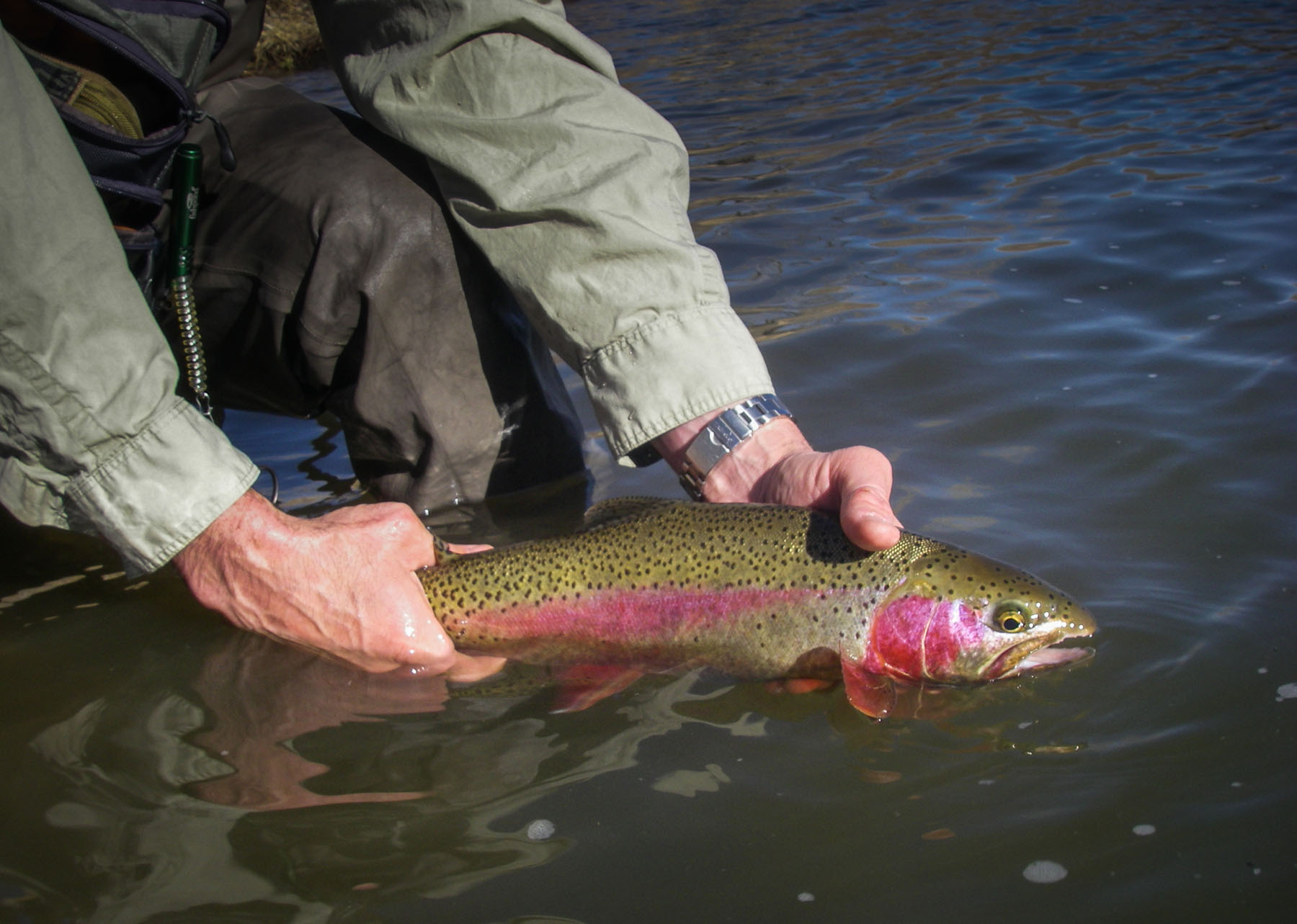 Spring Creek Ranch property picture 55 of 88