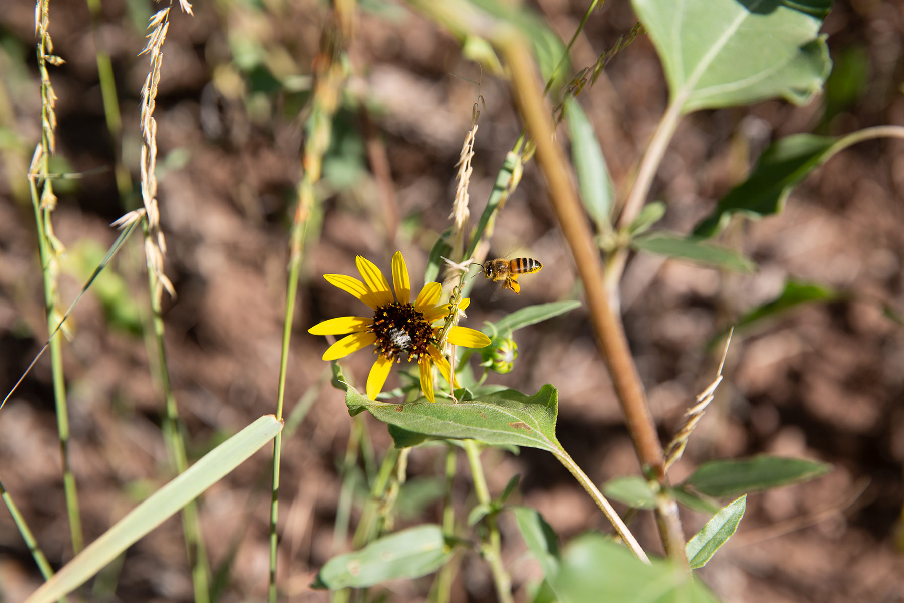 Bar Boot Ranch property picture 48 of 50