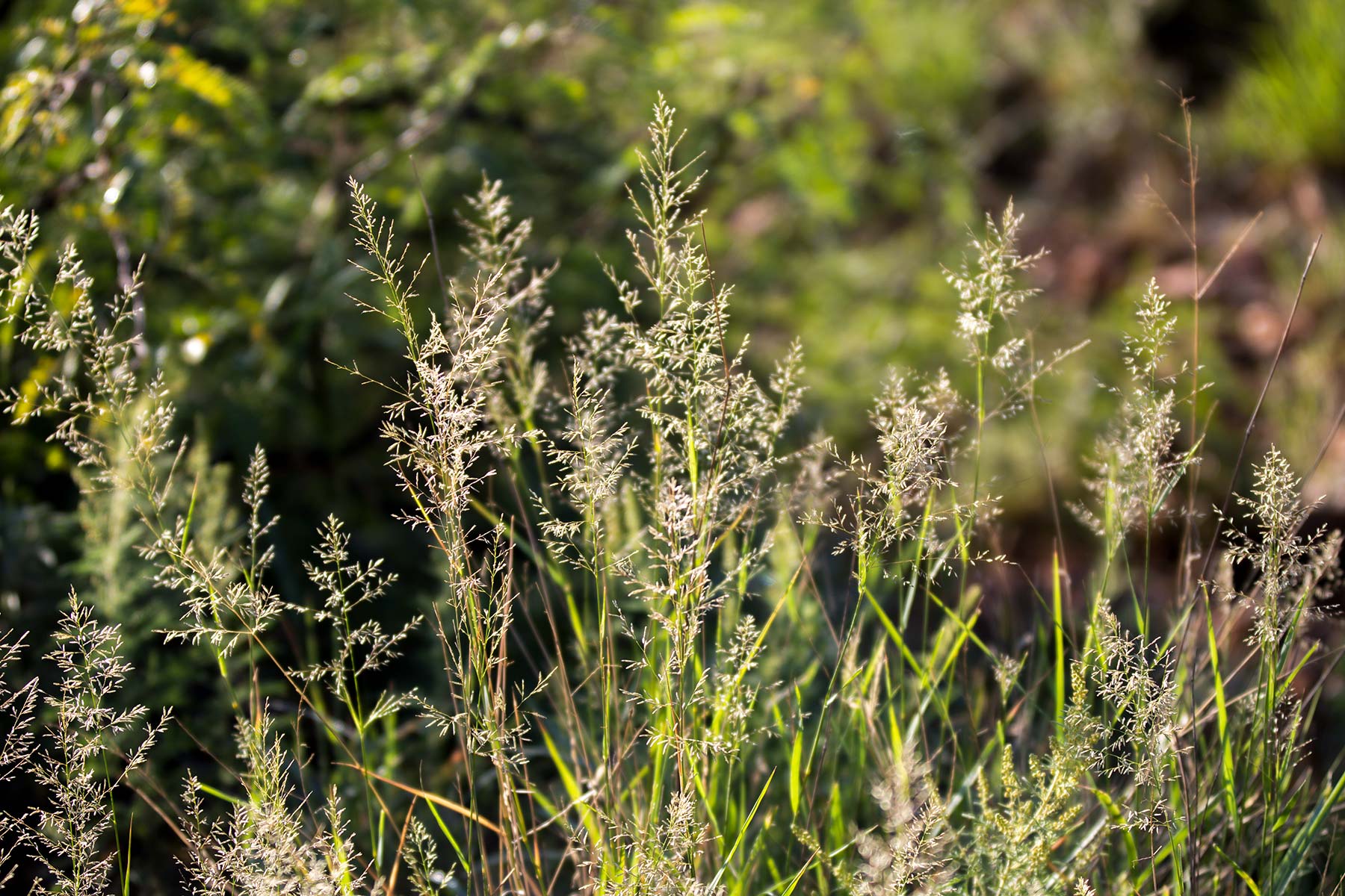 Bar Boot Ranch property picture 37 of 50