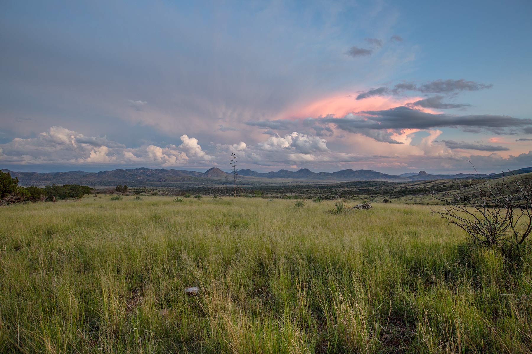 Bar Boot Ranch Sold Arizona Hall and Hall
