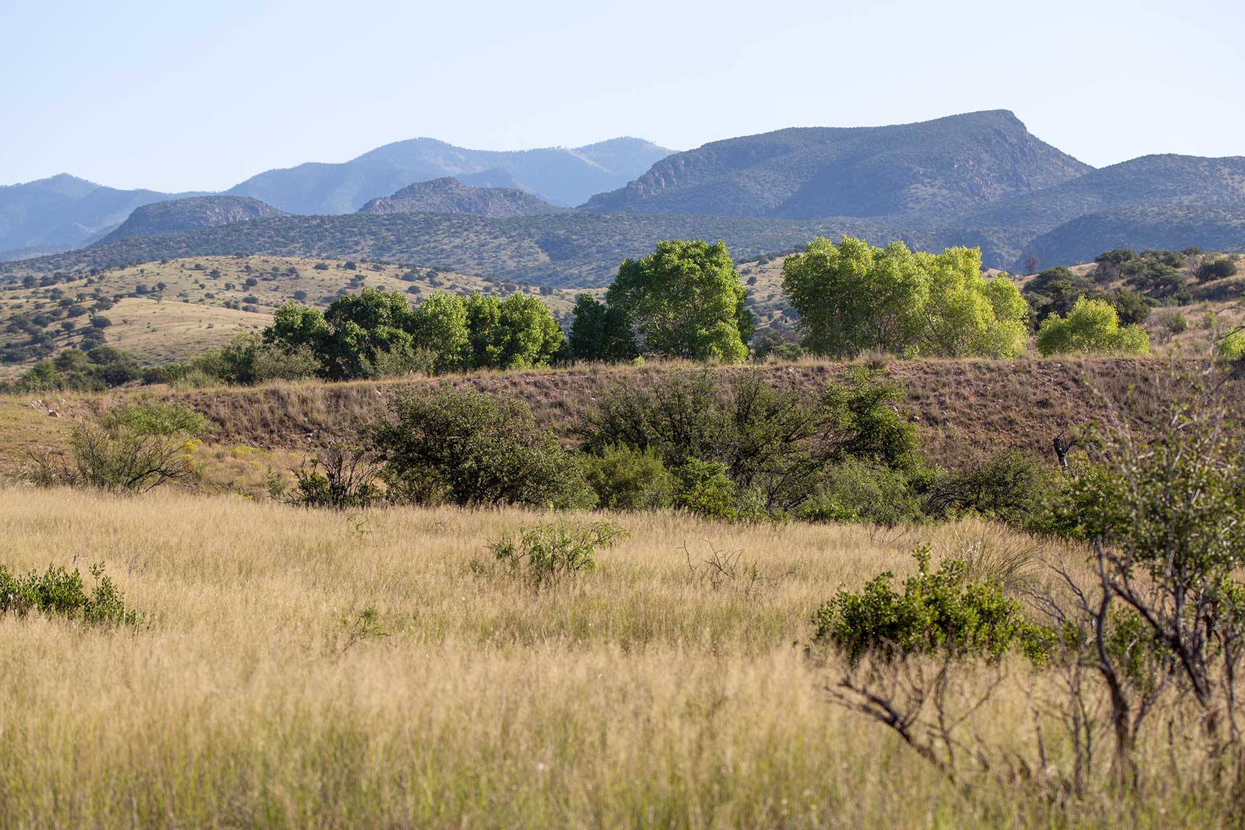 Bar Boot Ranch Sold Arizona Hall and Hall