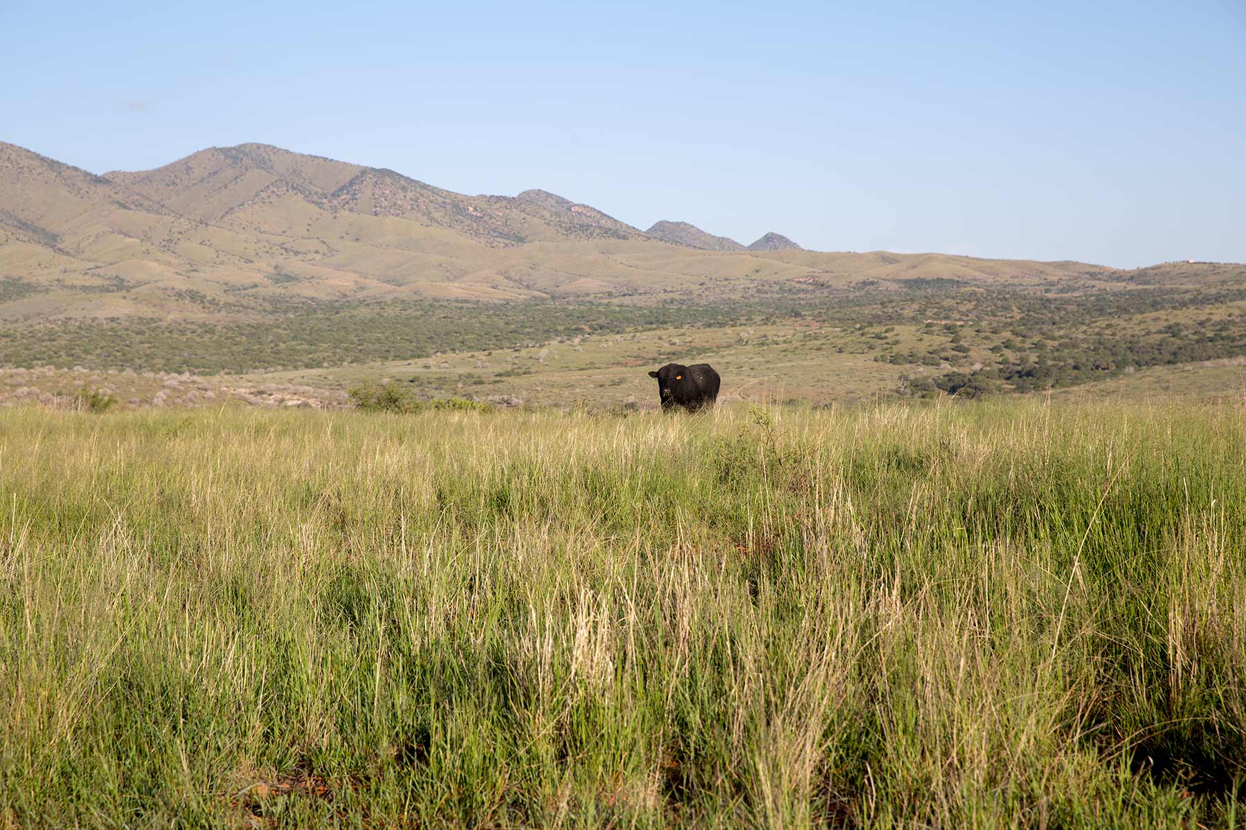 Bar Boot Ranch Sold Arizona Hall and Hall