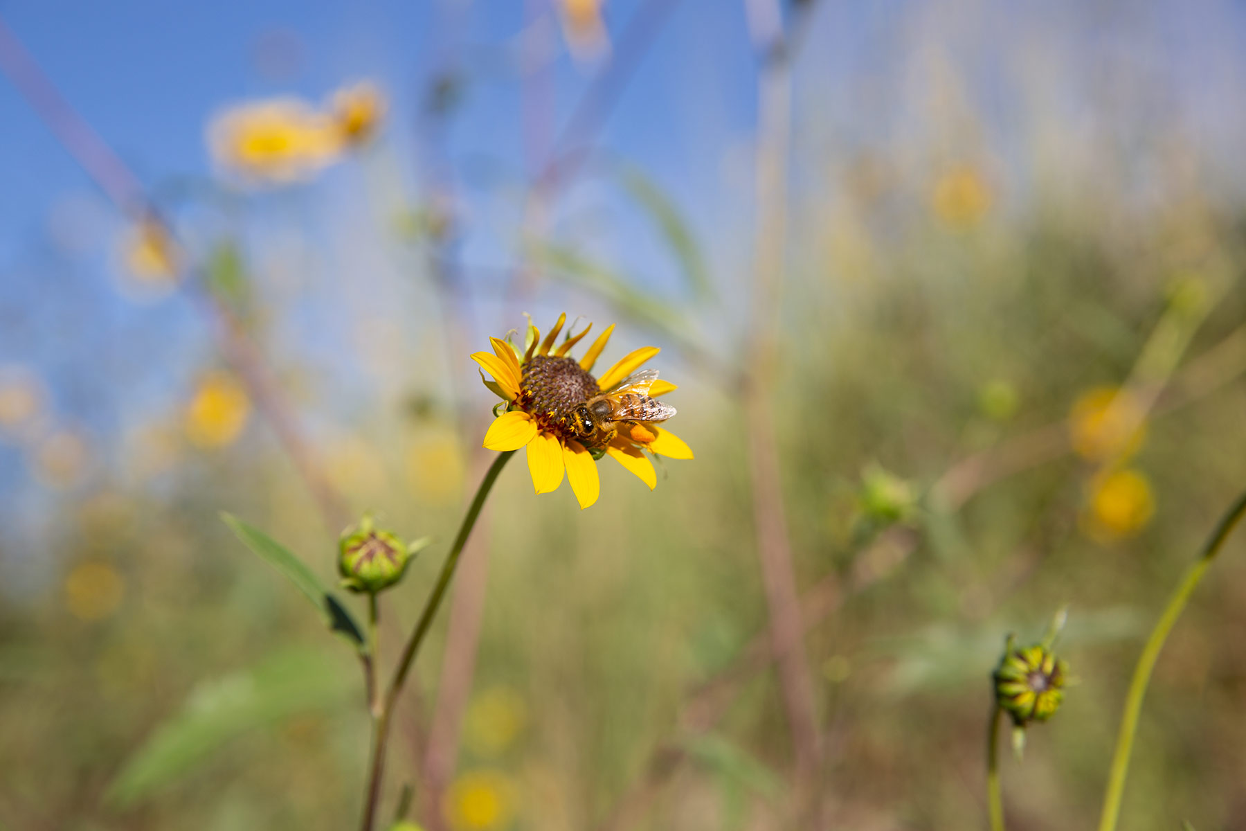 Bar Boot Ranch property picture 50 of 50