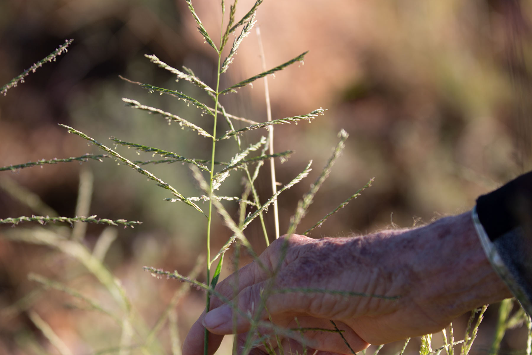 Bar Boot Ranch property picture 11 of 50