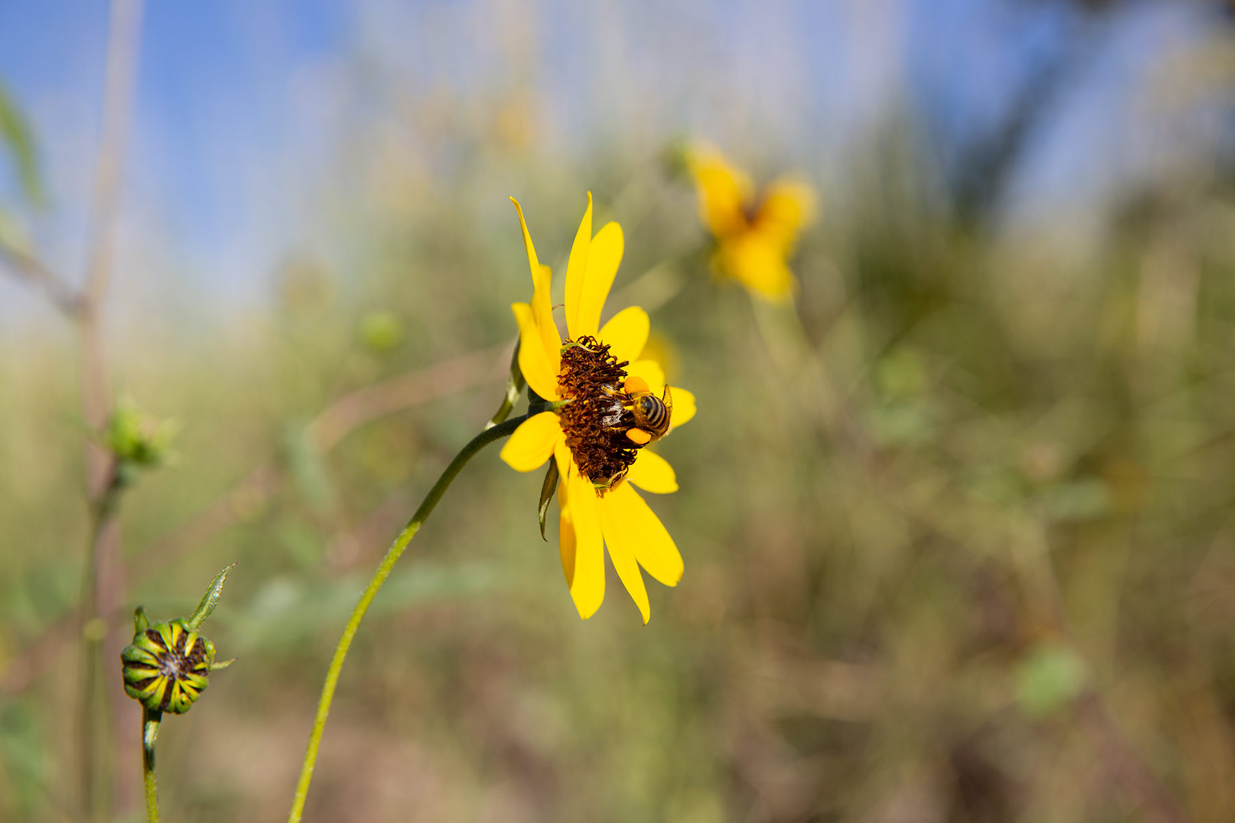 Bar Boot Ranch property picture 49 of 50