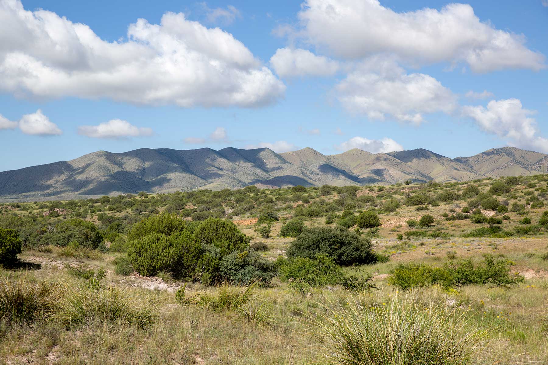 Bar Boot Ranch Sold Arizona Hall and Hall