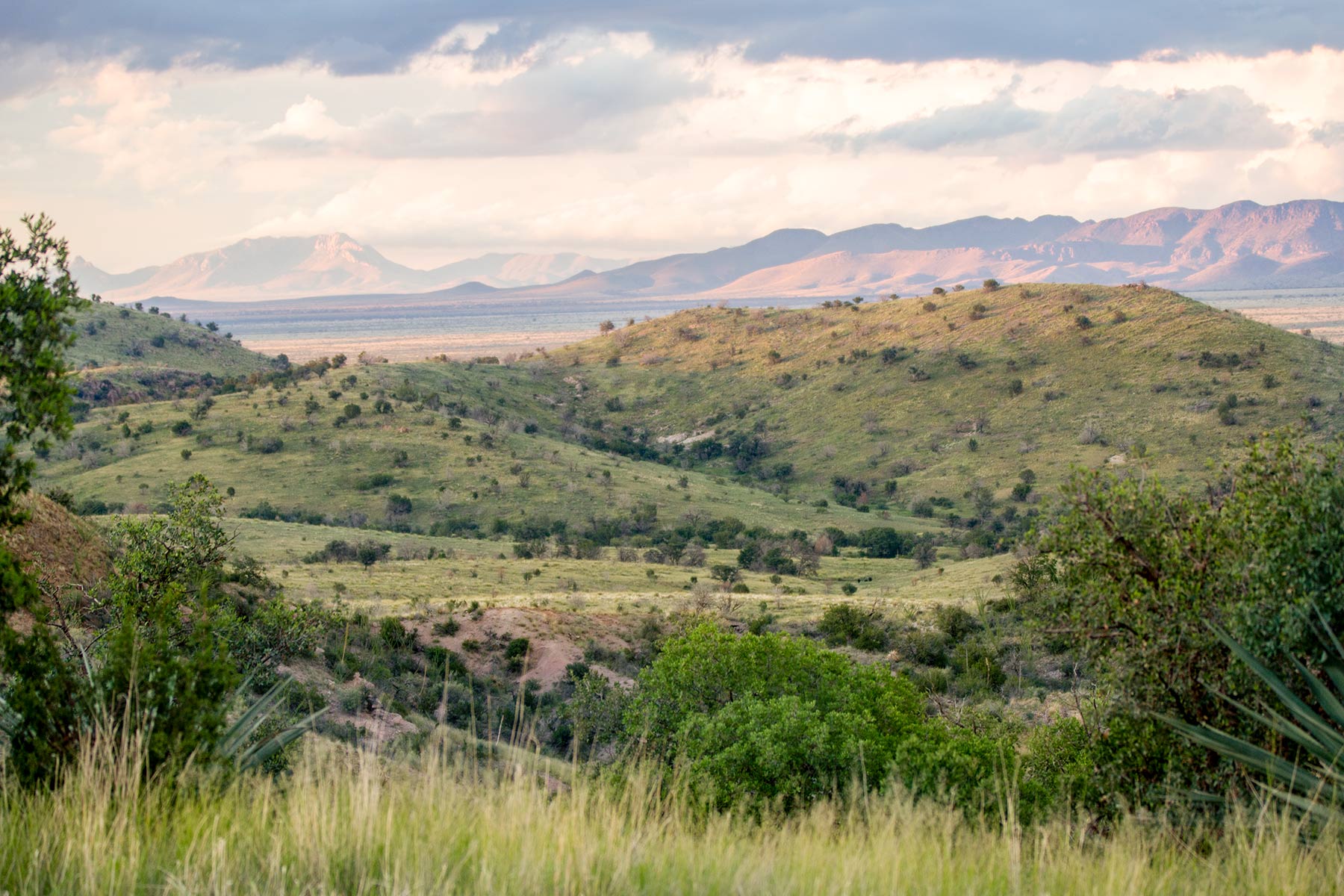 Bar Boot Ranch Sold Arizona Hall and Hall