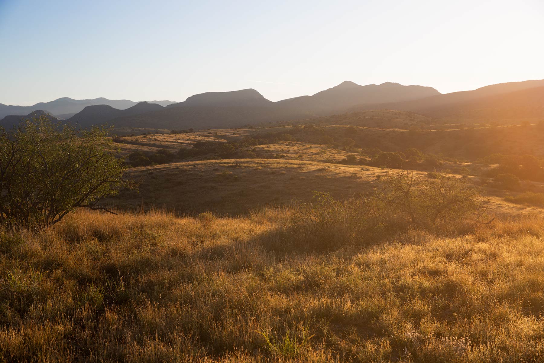 Bar Boot Ranch property picture 26 of 50