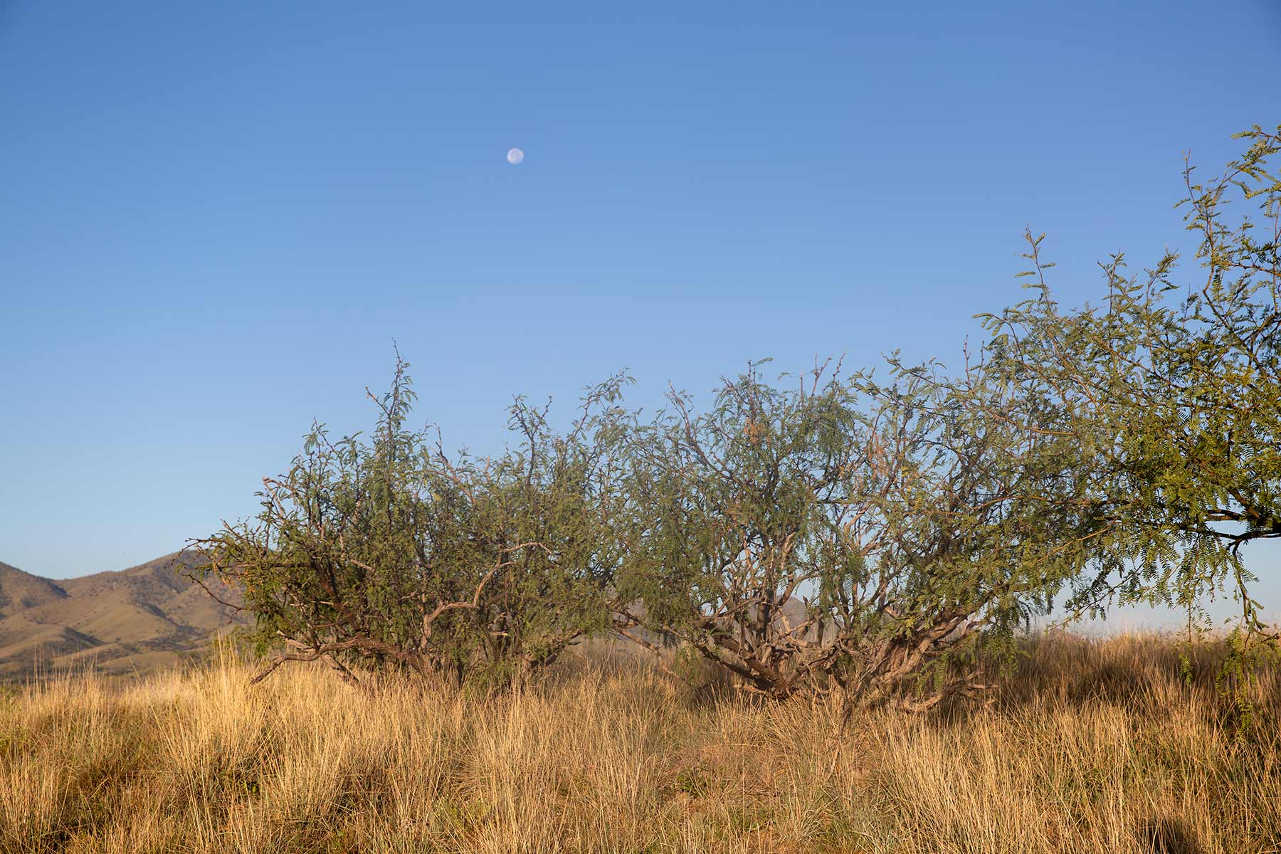 Bar Boot Ranch property picture 27 of 50