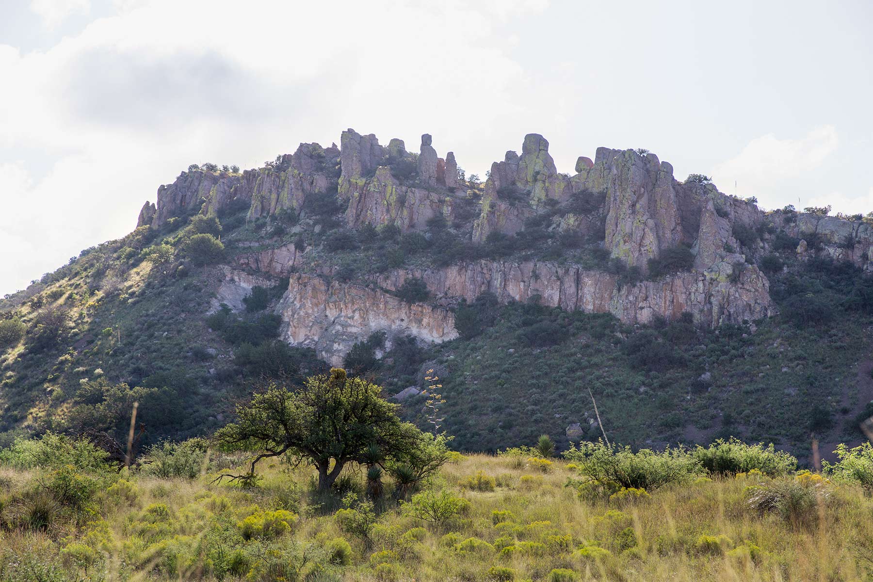 Bar Boot Ranch Sold Arizona Hall and Hall