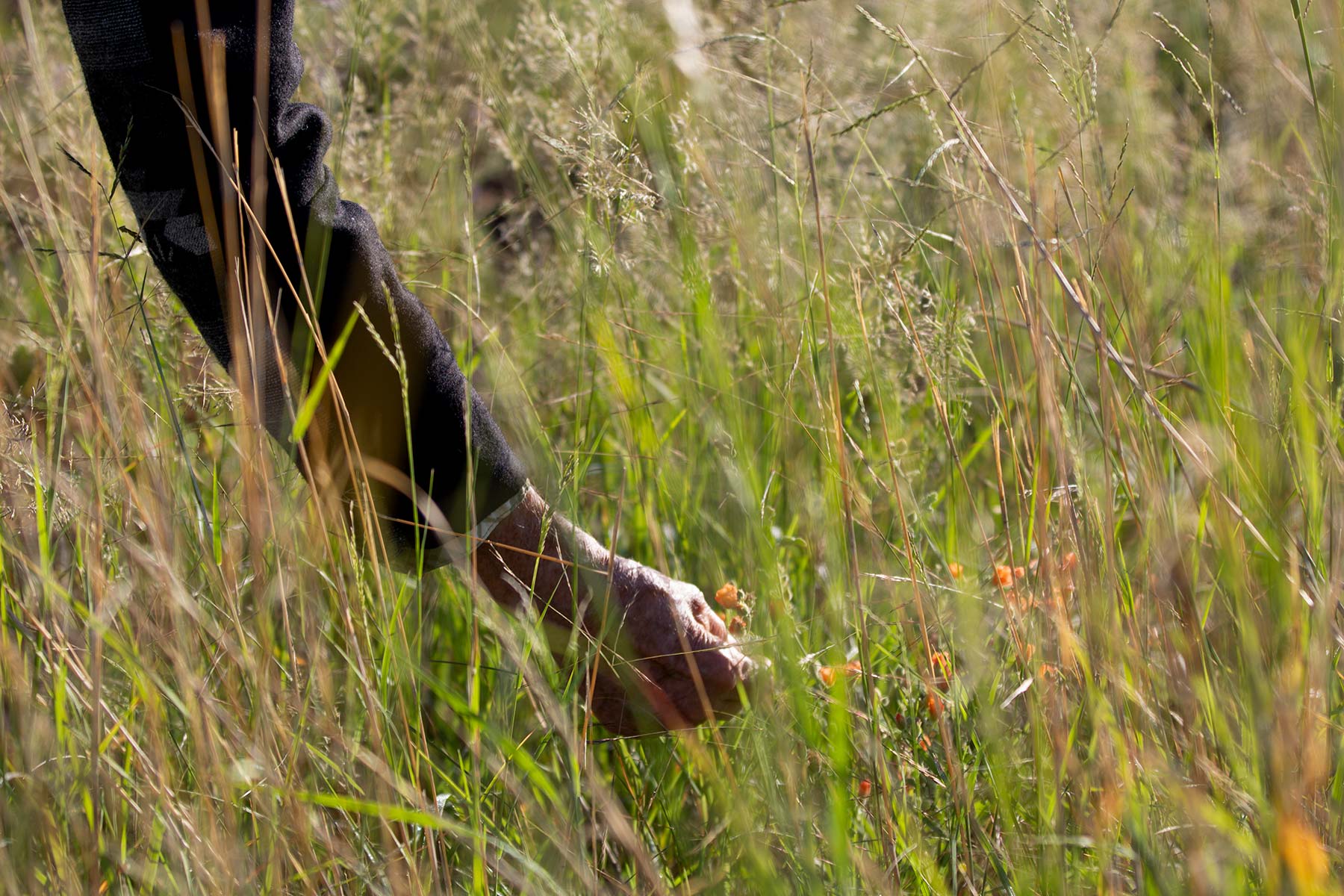 Bar Boot Ranch property picture 38 of 50