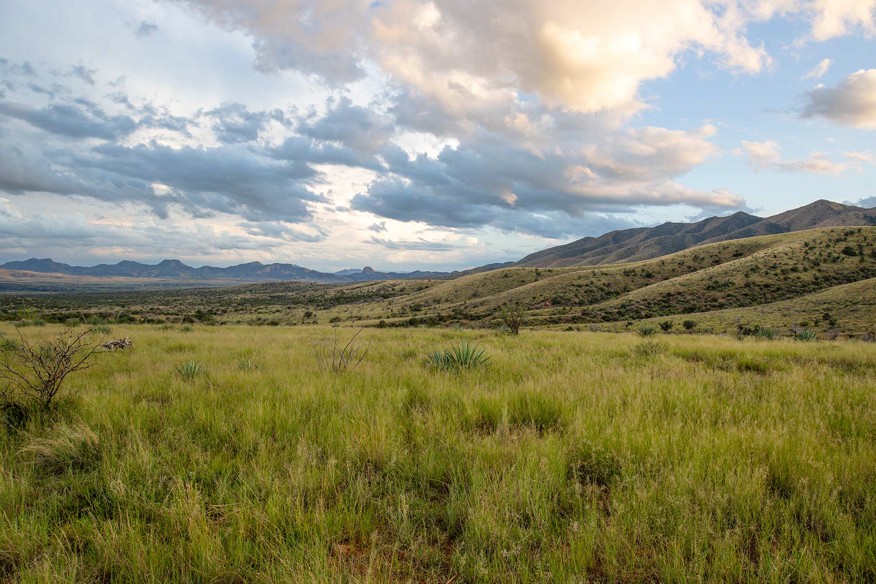 Bar Boot Ranch Sold Arizona Hall and Hall