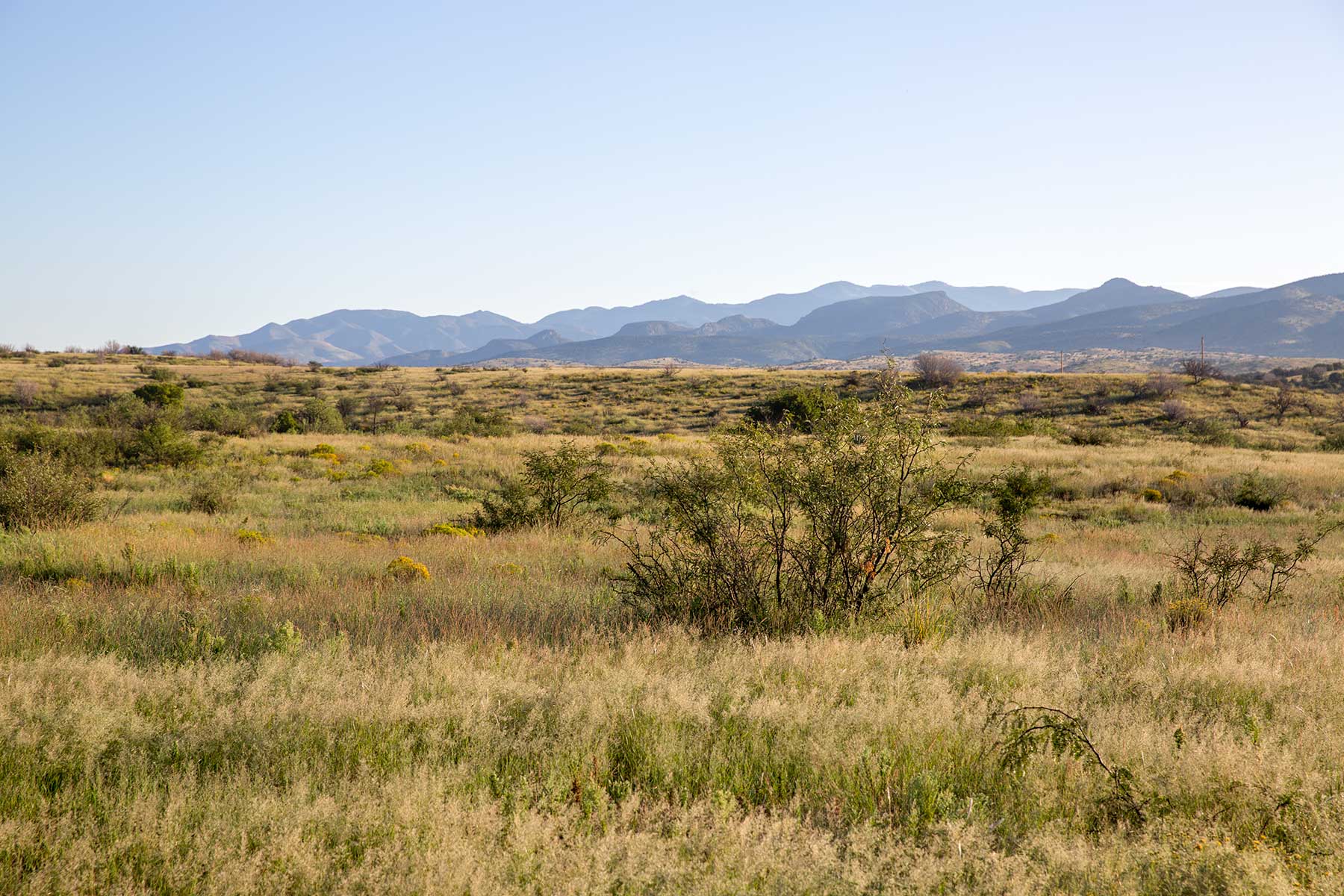 Bar Boot Ranch Sold Arizona Hall and Hall