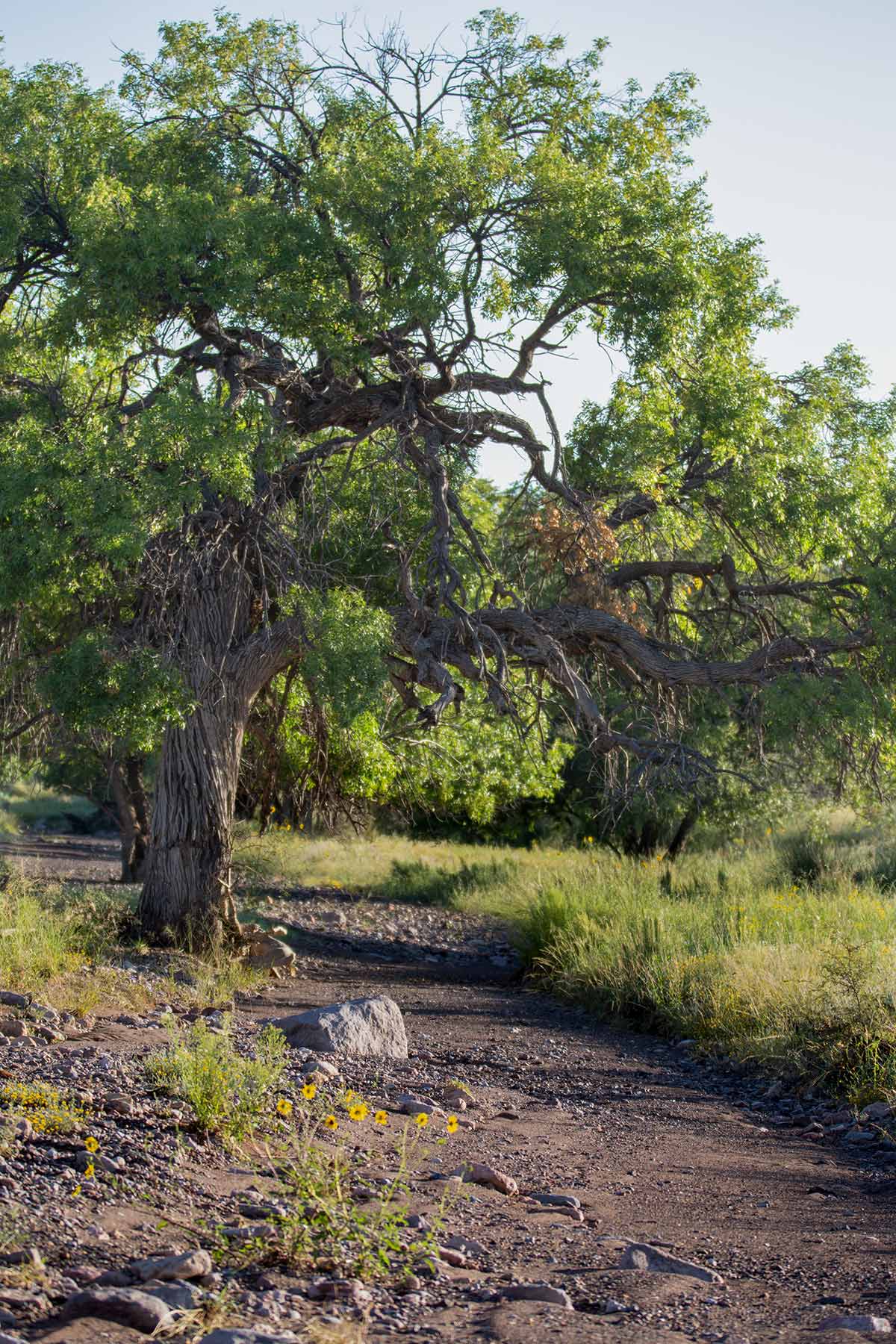 Bar Boot Ranch property picture 41 of 50