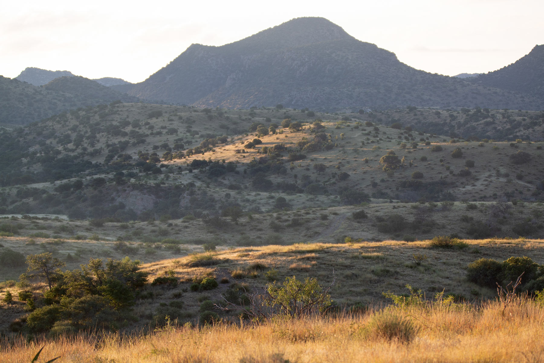 Bar Boot Ranch Sold Arizona Hall and Hall