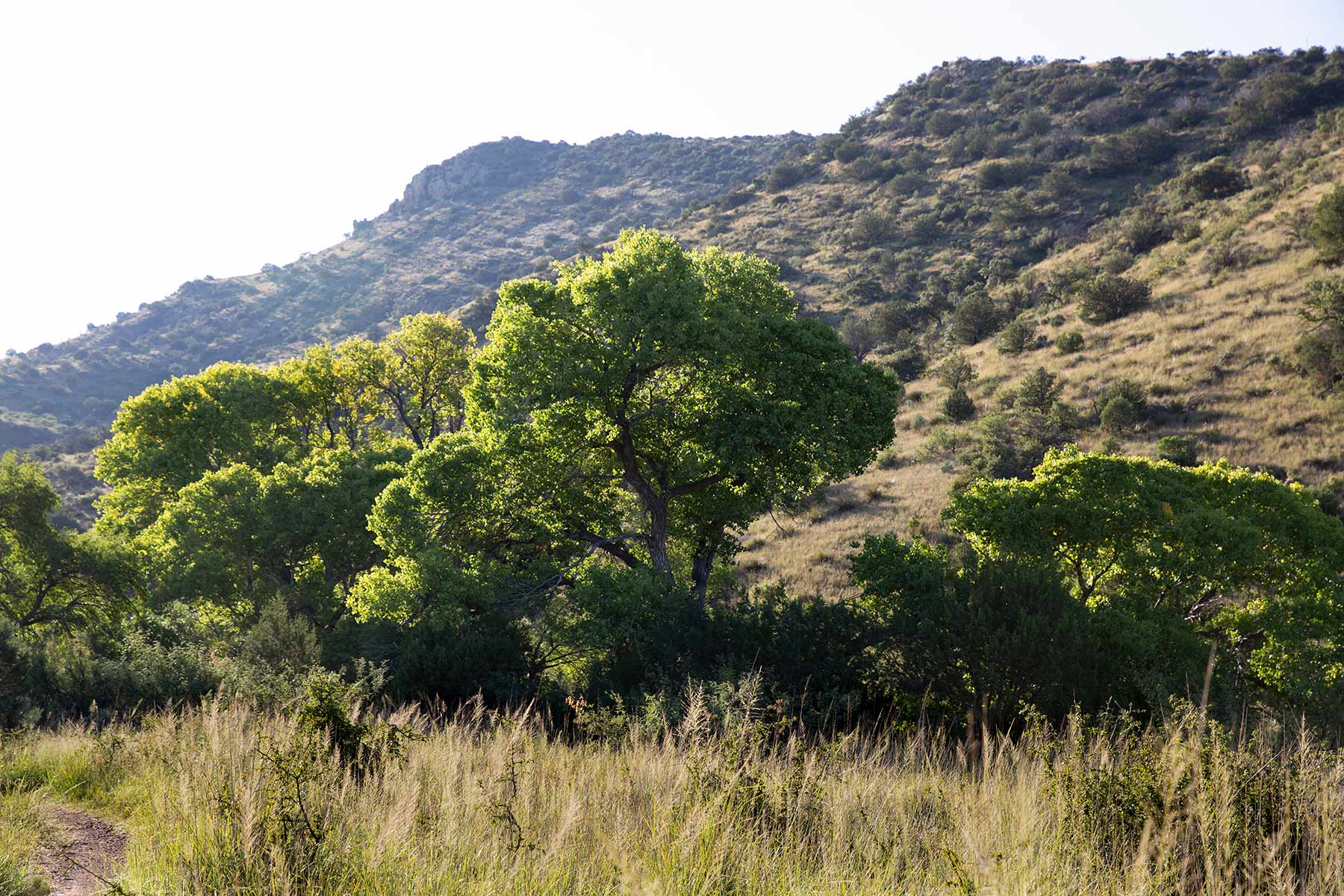 Bar Boot Ranch Sold Arizona Hall and Hall