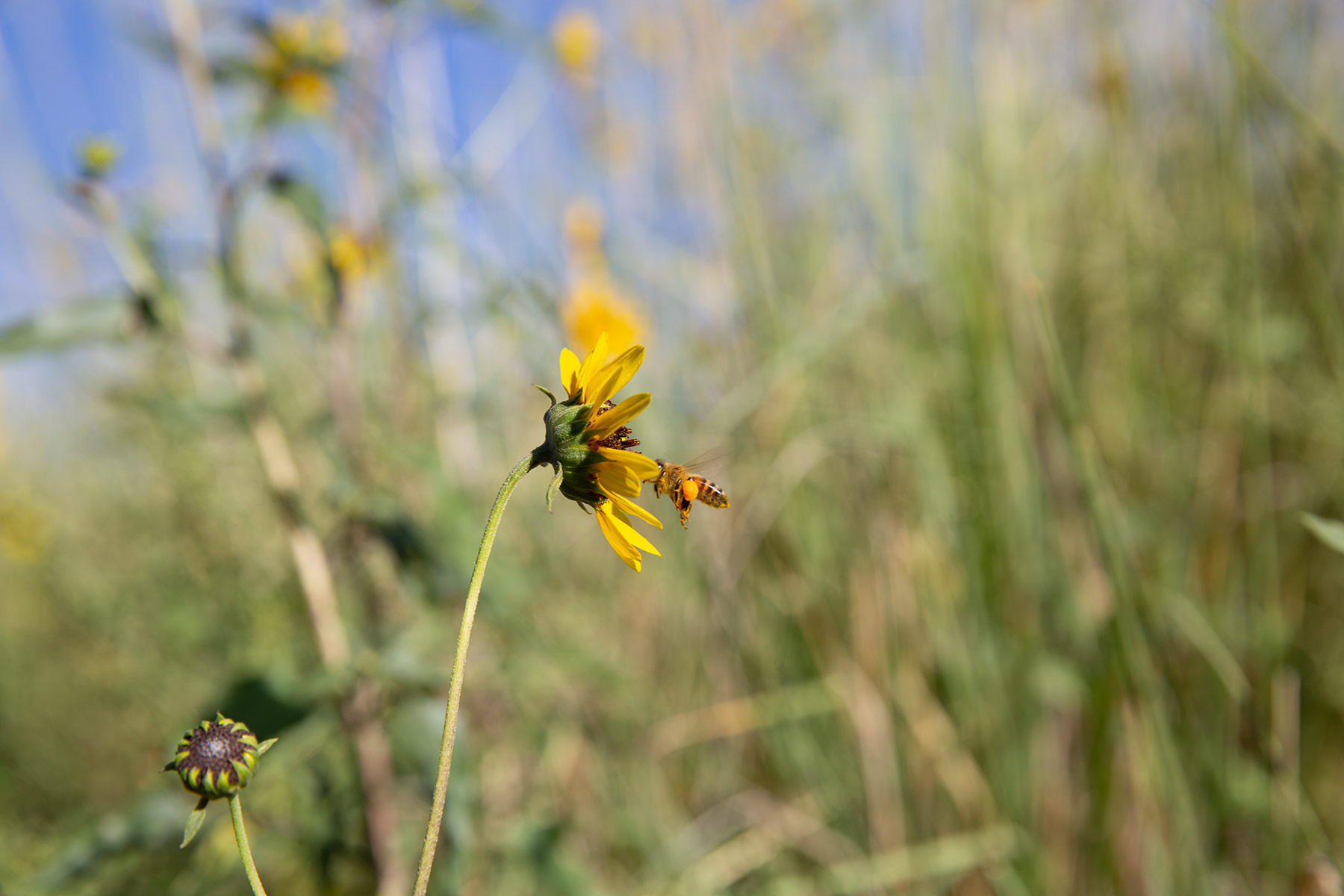 Bar Boot Ranch property picture 46 of 50