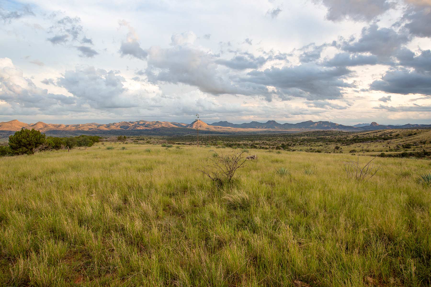 Bar Boot Ranch Sold Arizona Hall and Hall