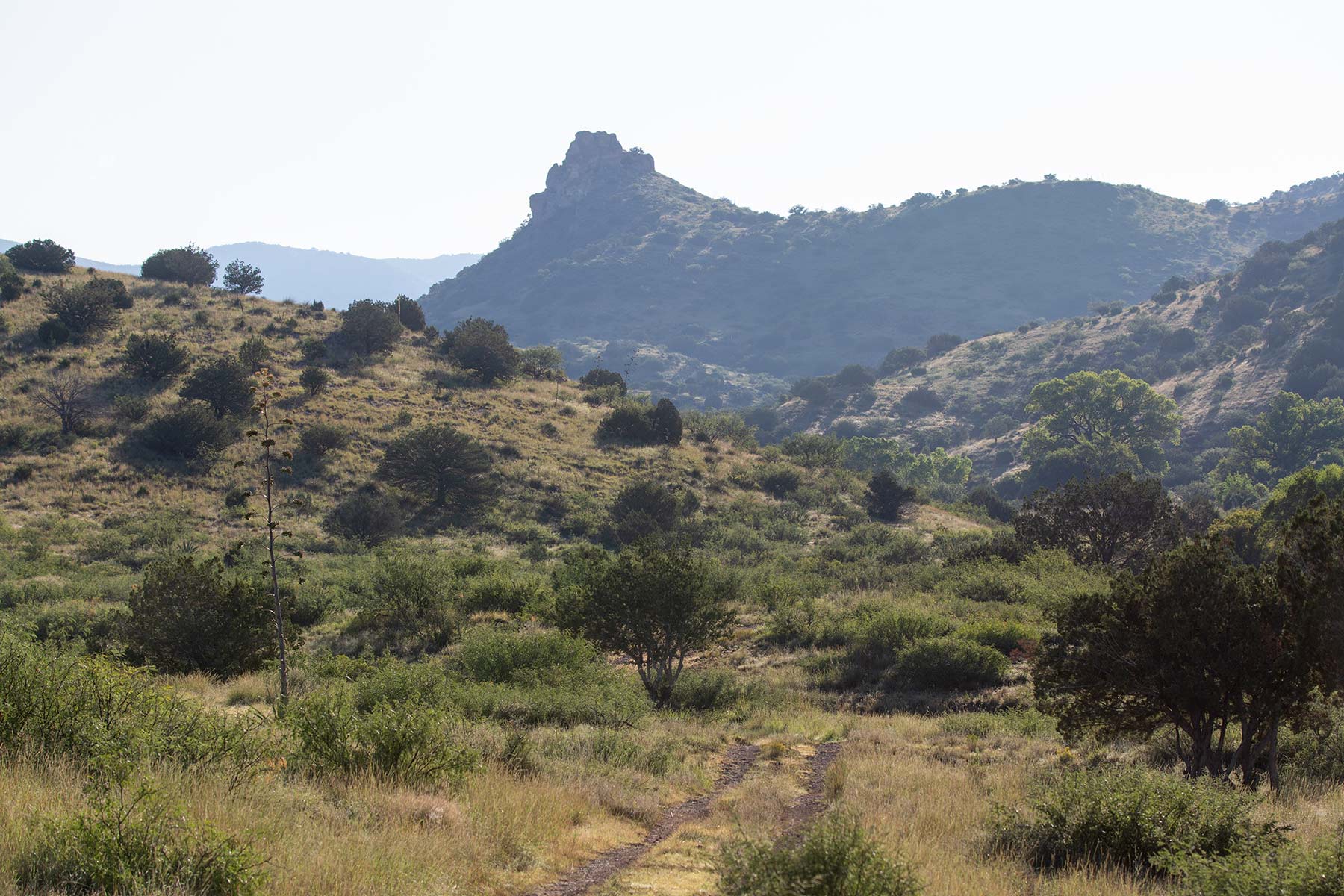 Bar Boot Ranch Sold Arizona Hall and Hall