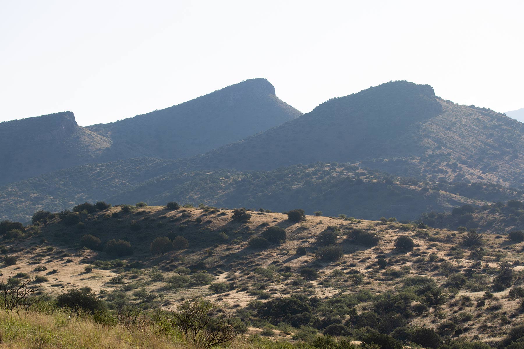 Bar Boot Ranch property picture 34 of 50