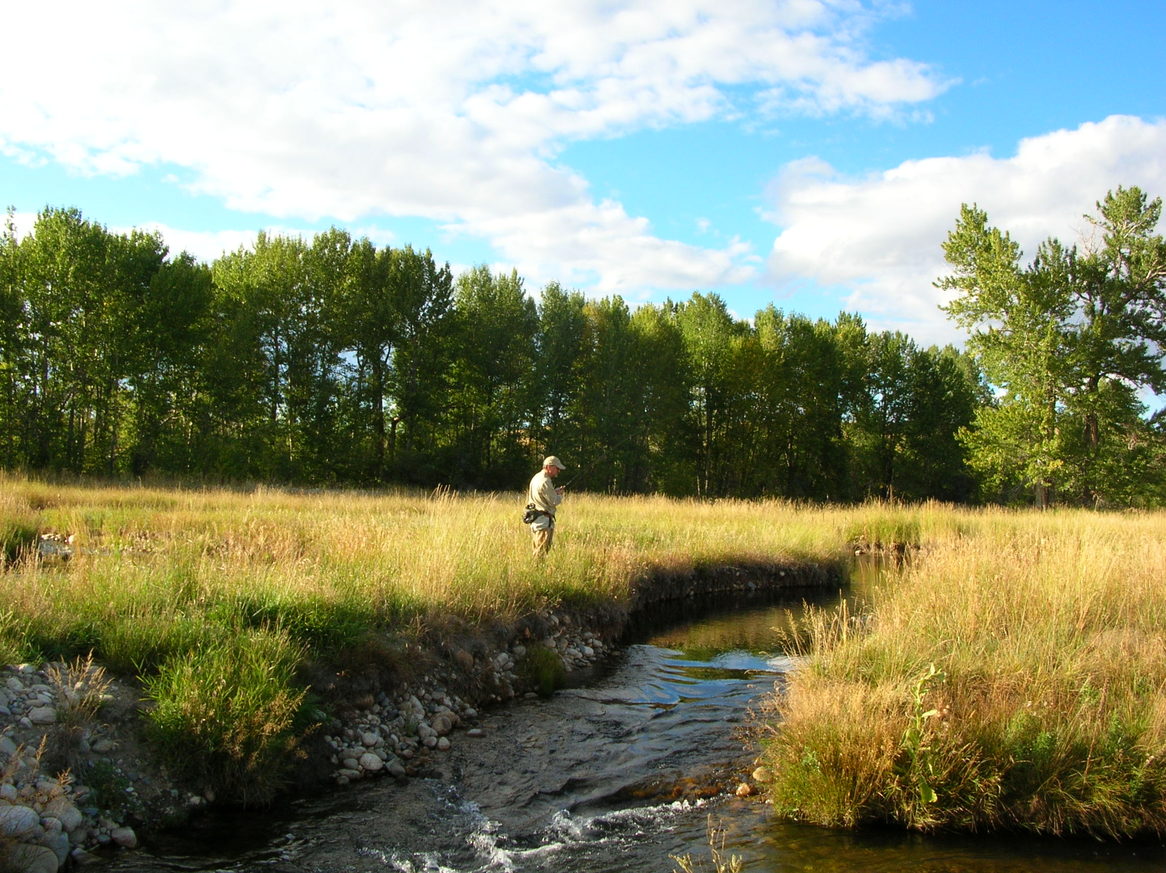 Sanctuary Ranch property picture 48 of 60